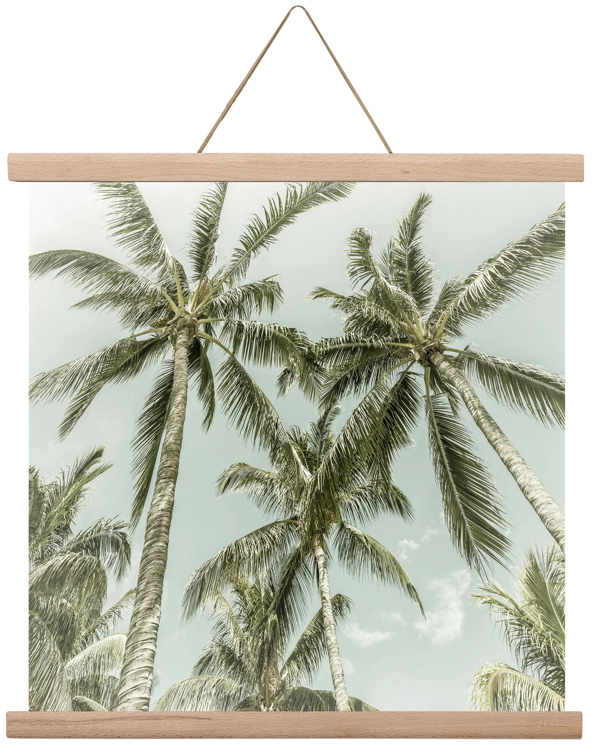 Lovely Palm Trees | Vintage - artbridge
