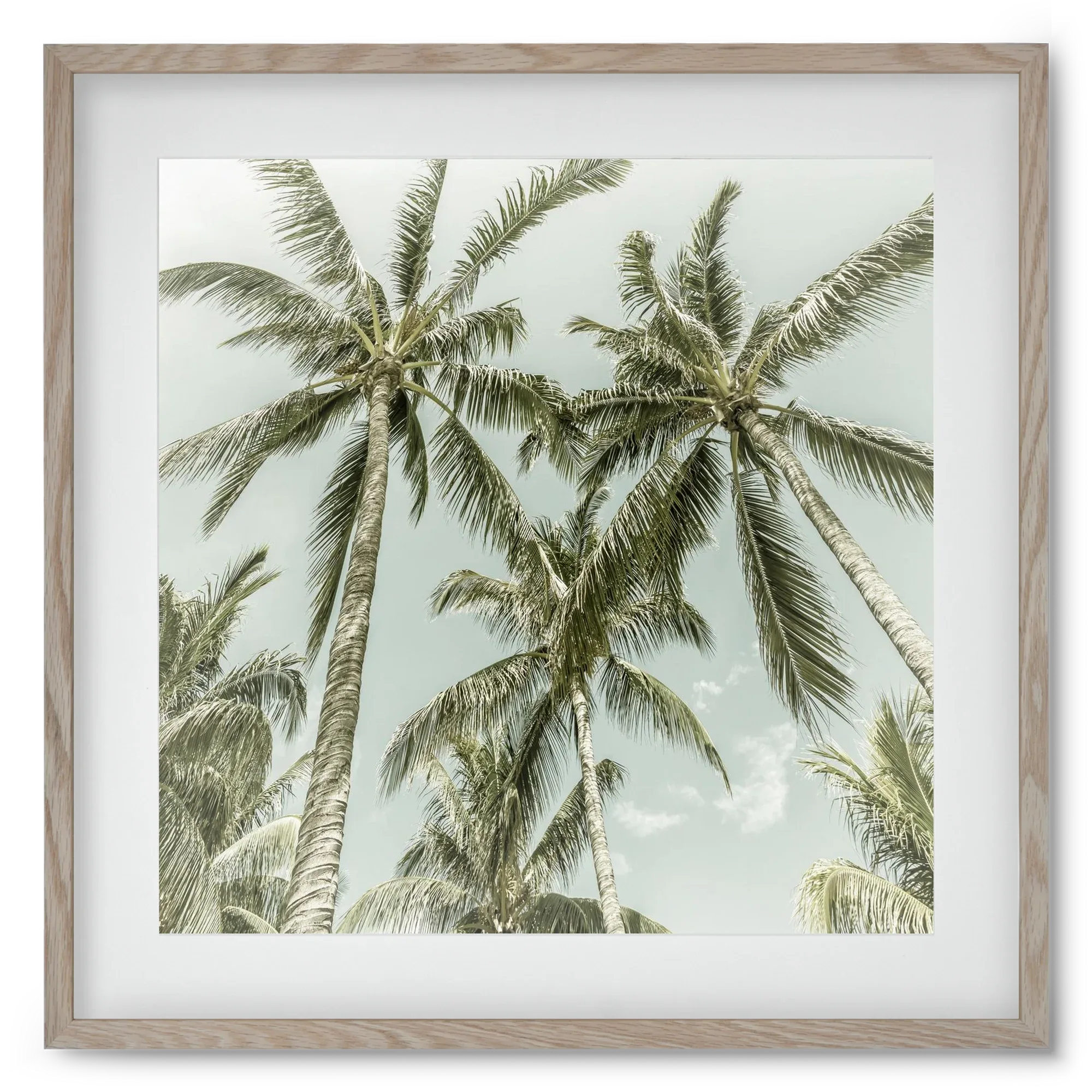 Lovely Palm Trees | Vintage - artbridge