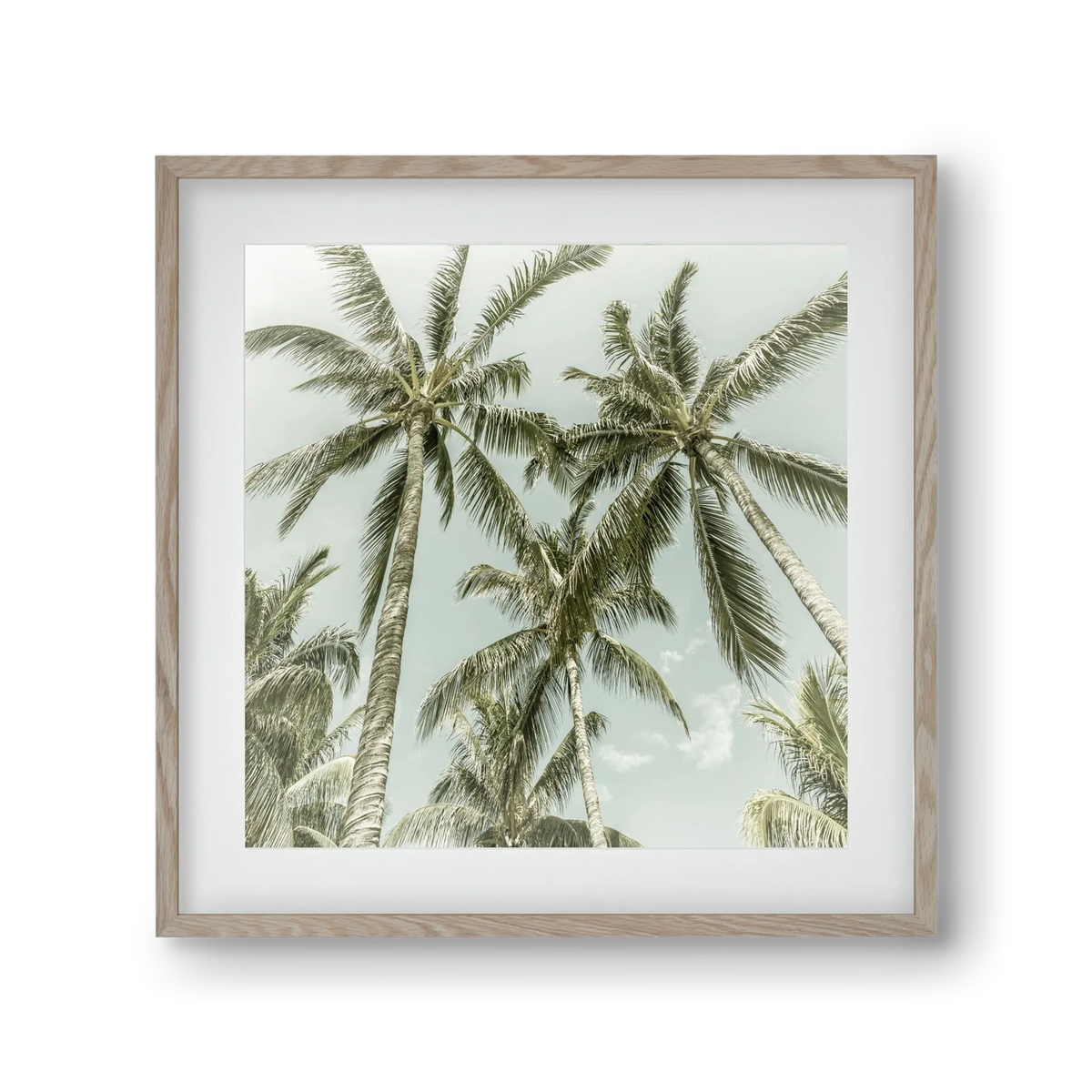 Lovely Palm Trees | Vintage - artbridge