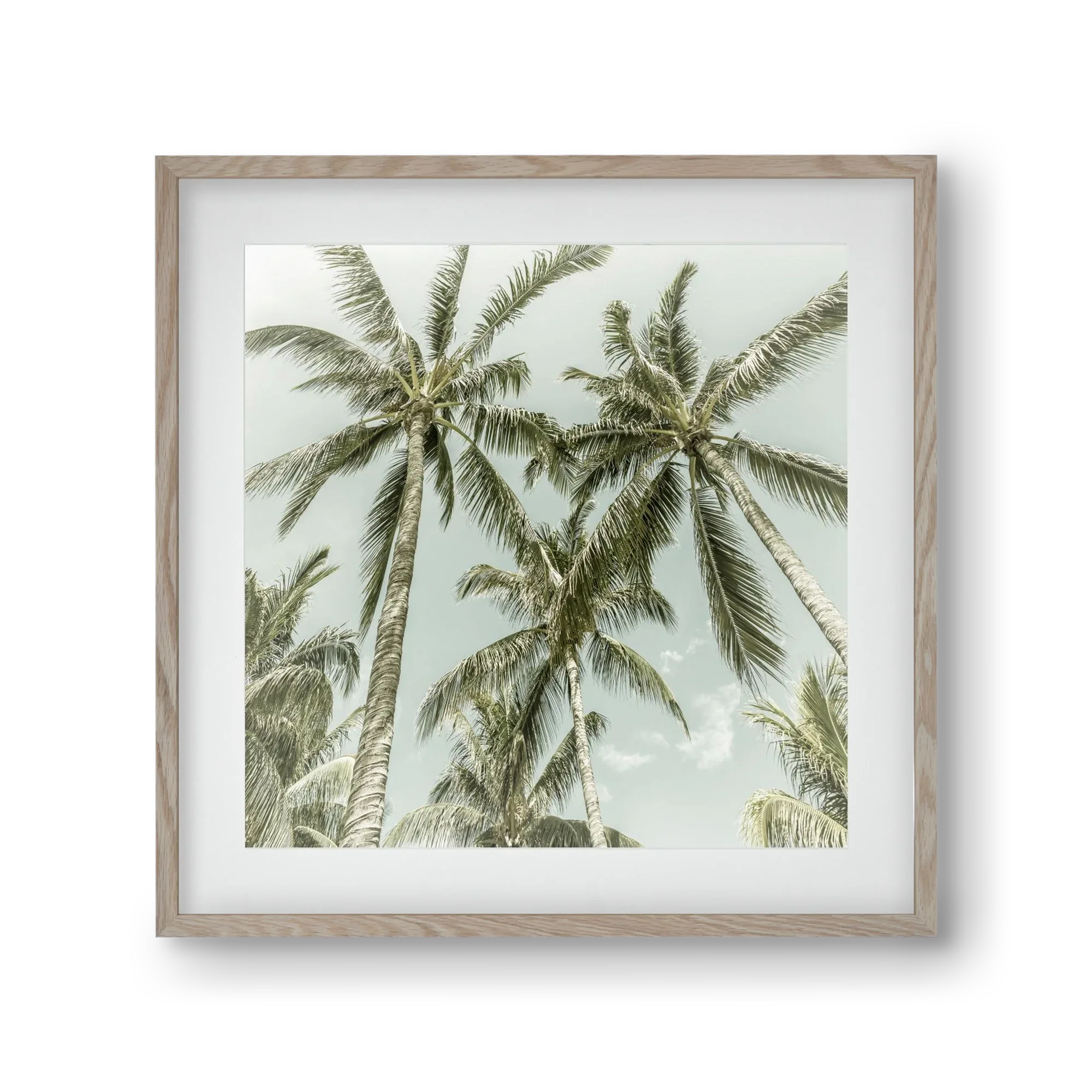 Lovely Palm Trees | Vintage - artbridge