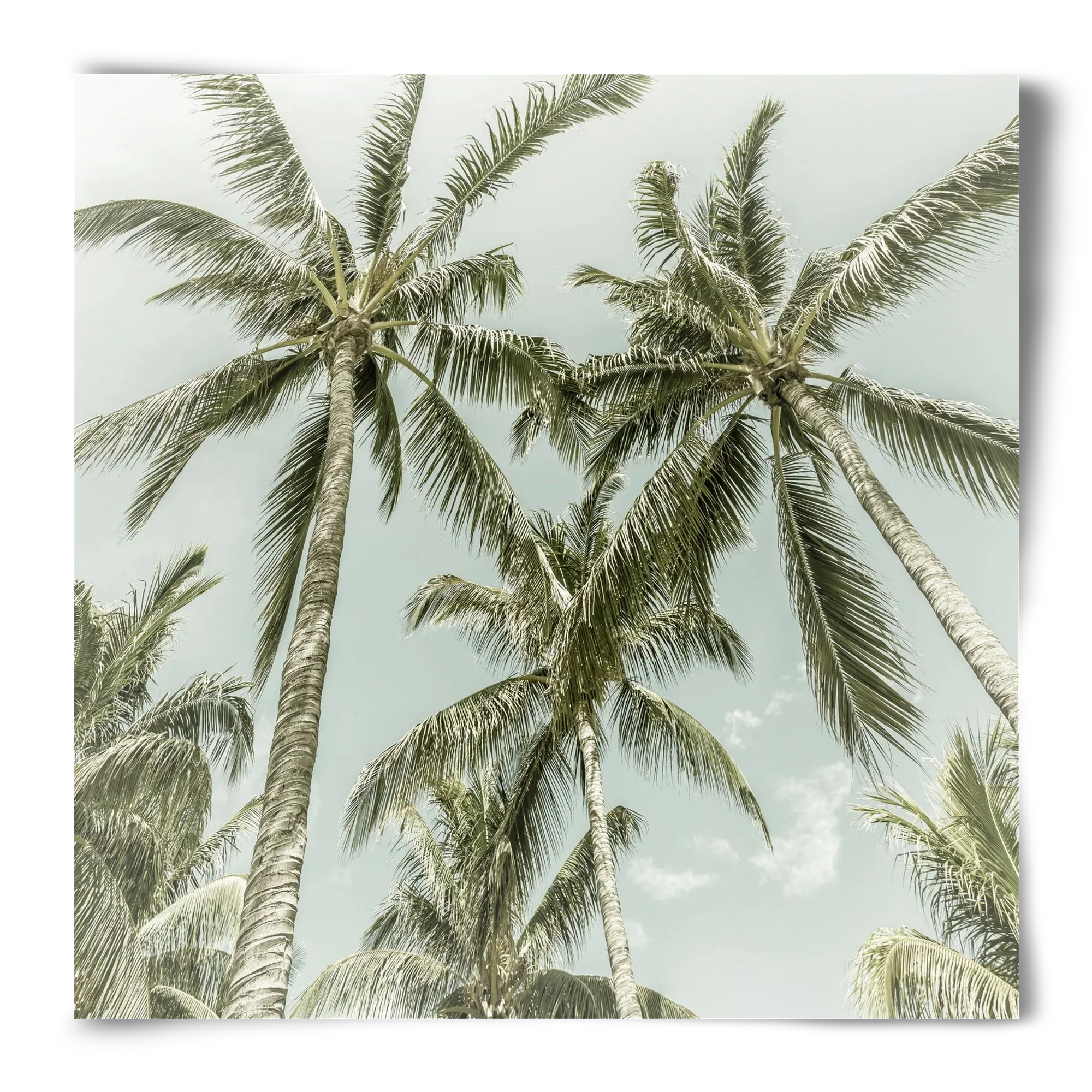 Lovely Palm Trees | Vintage - artbridge