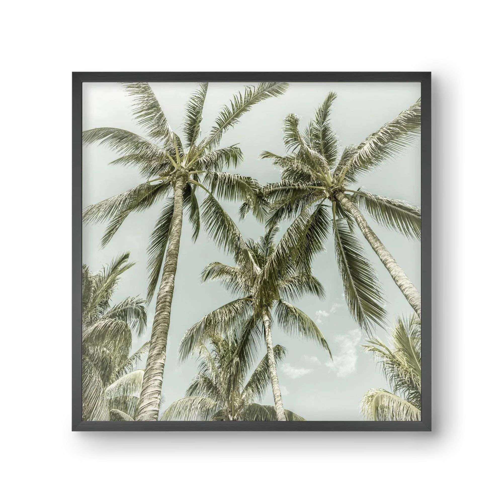 Lovely Palm Trees | Vintage - artbridge