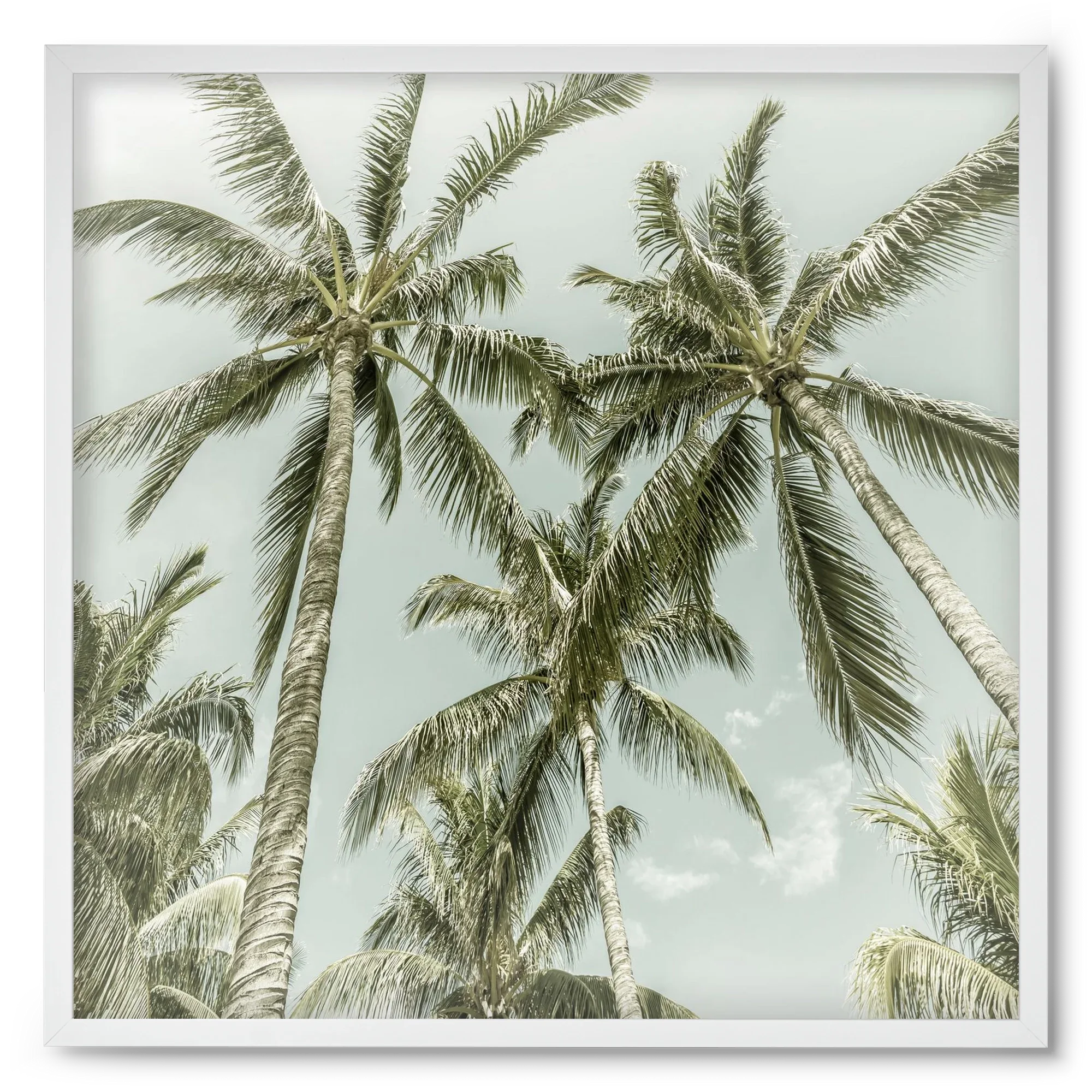 Lovely Palm Trees | Vintage - artbridge