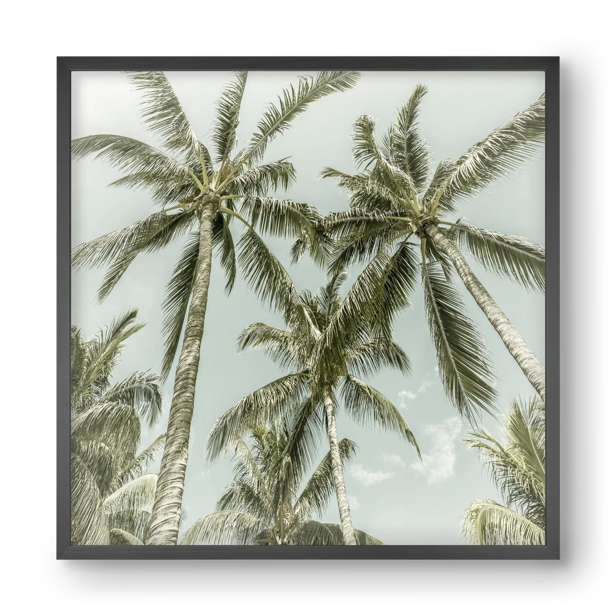 Lovely Palm Trees | Vintage - artbridge