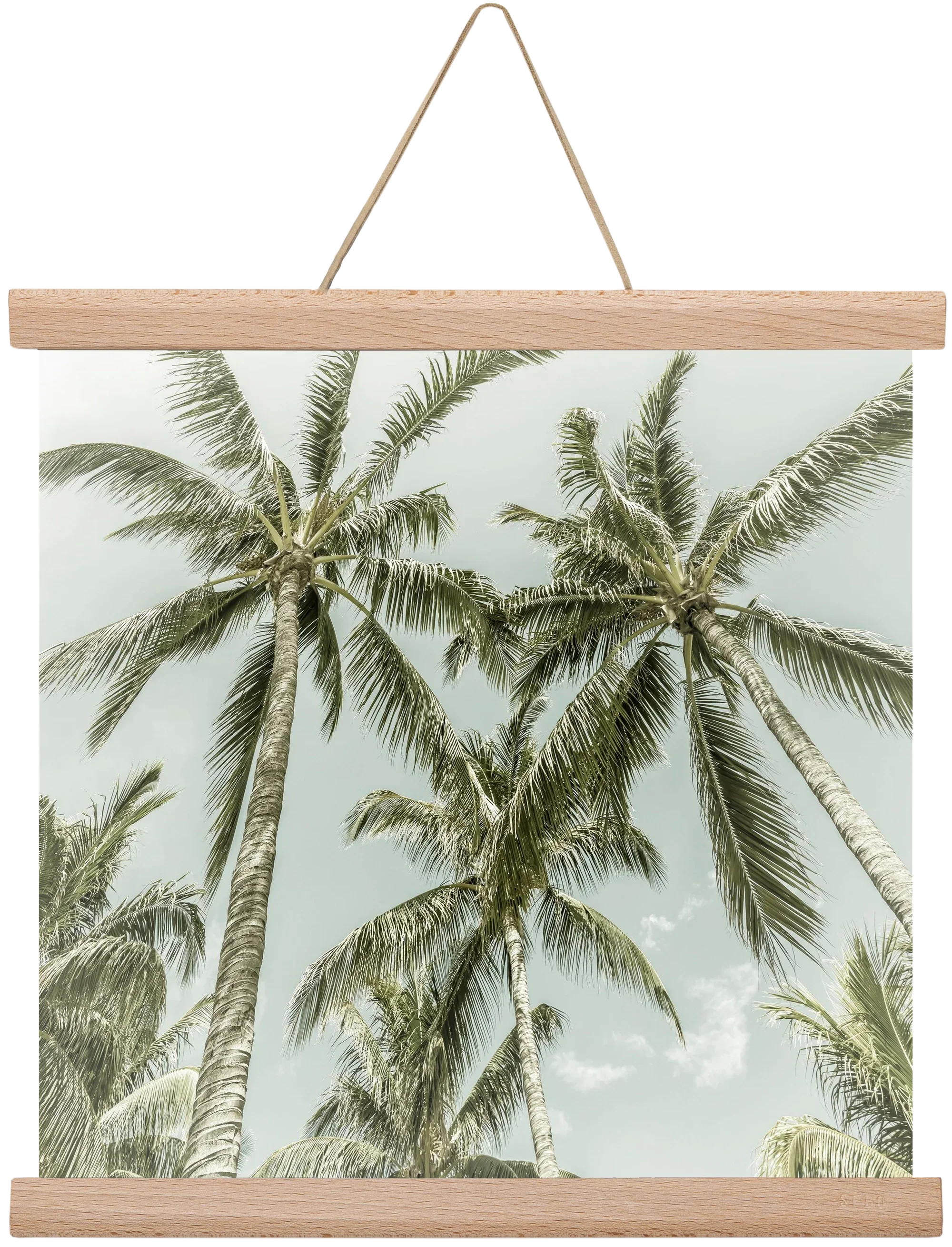 Lovely Palm Trees | Vintage - artbridge