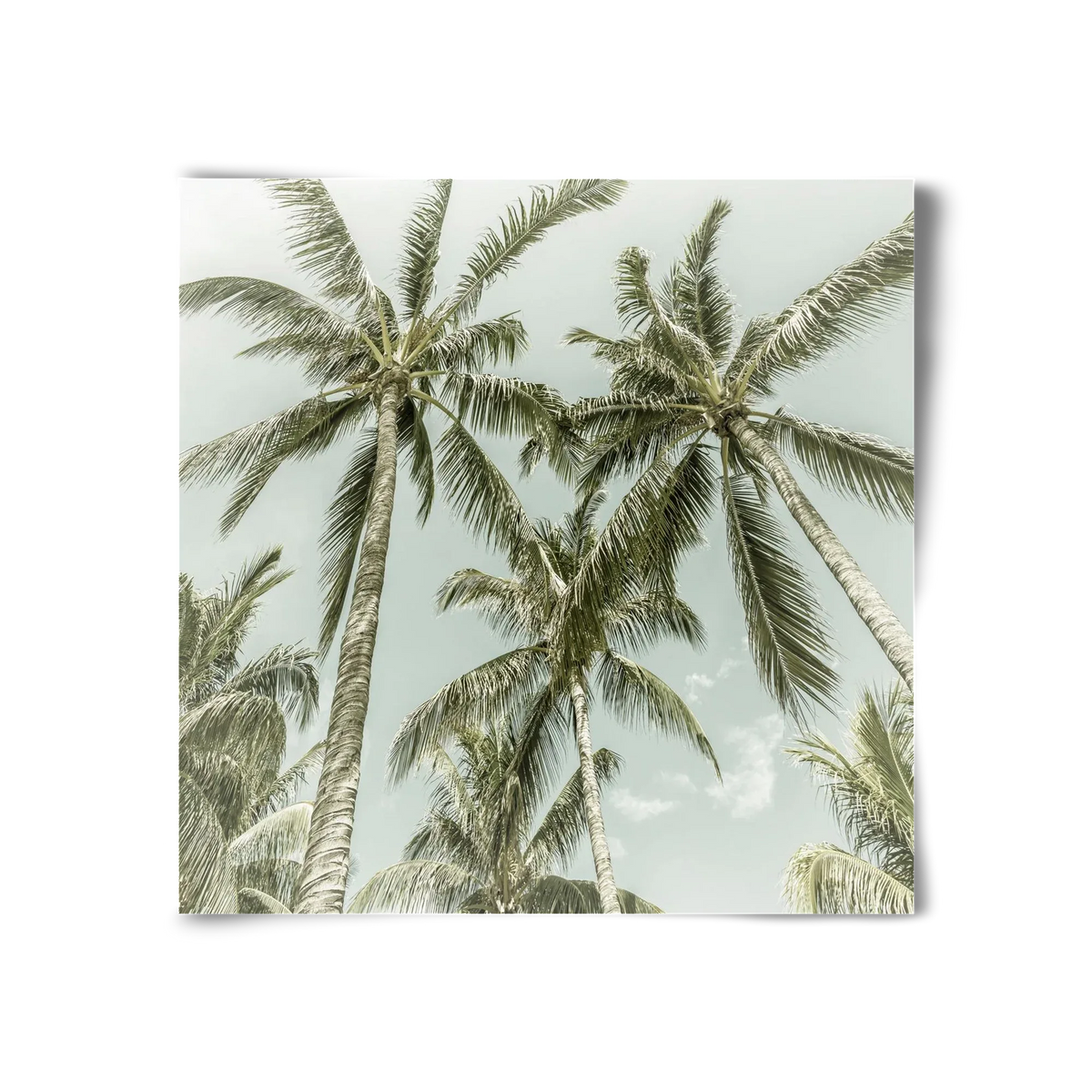 Lovely Palm Trees | Vintage - artbridge