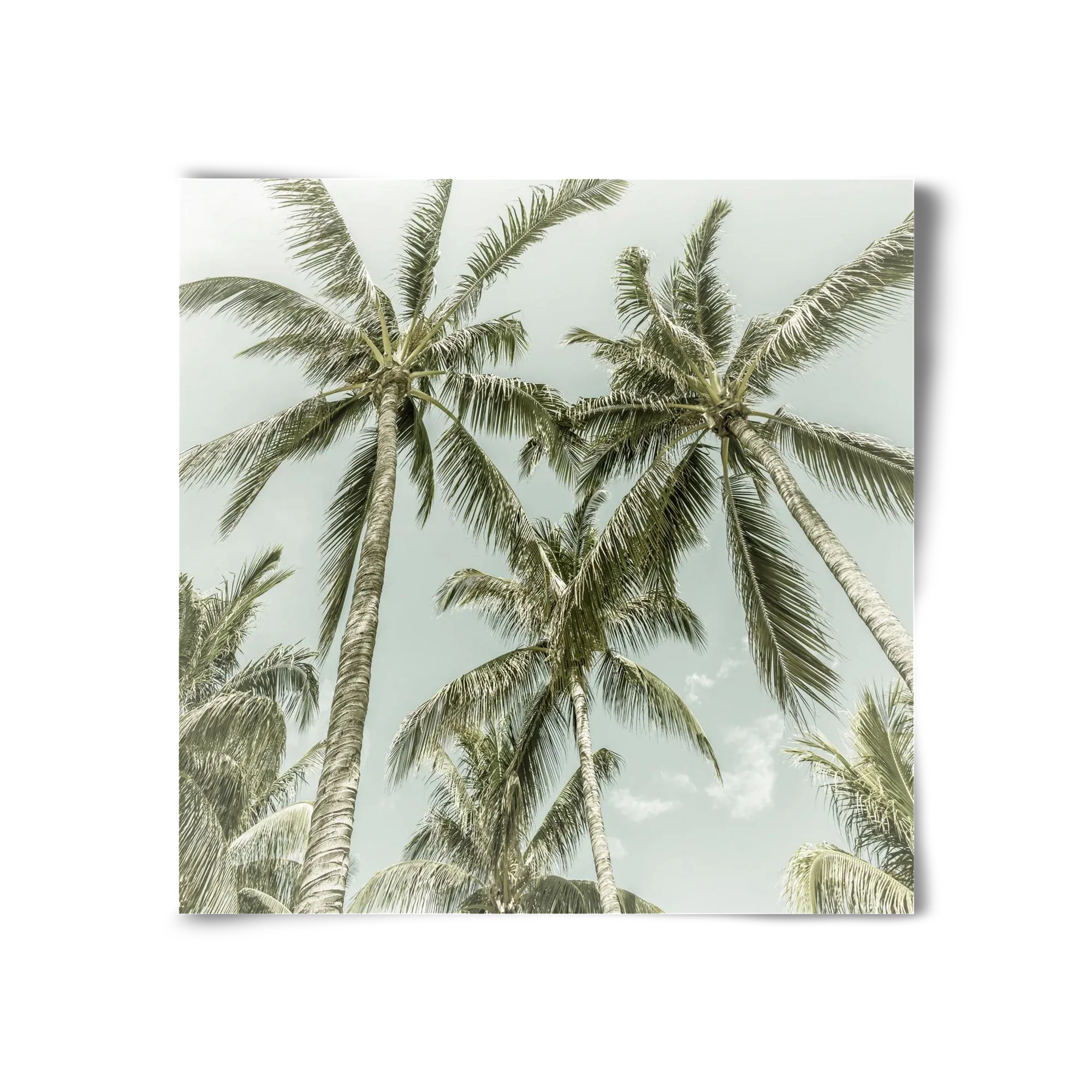 Lovely Palm Trees | Vintage - artbridge