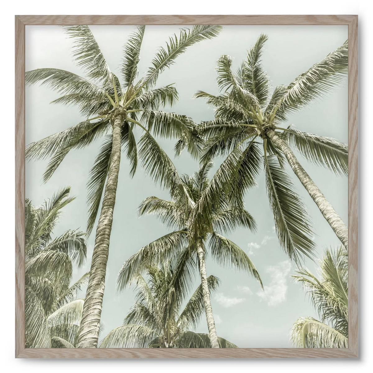 Lovely Palm Trees | Vintage - artbridge