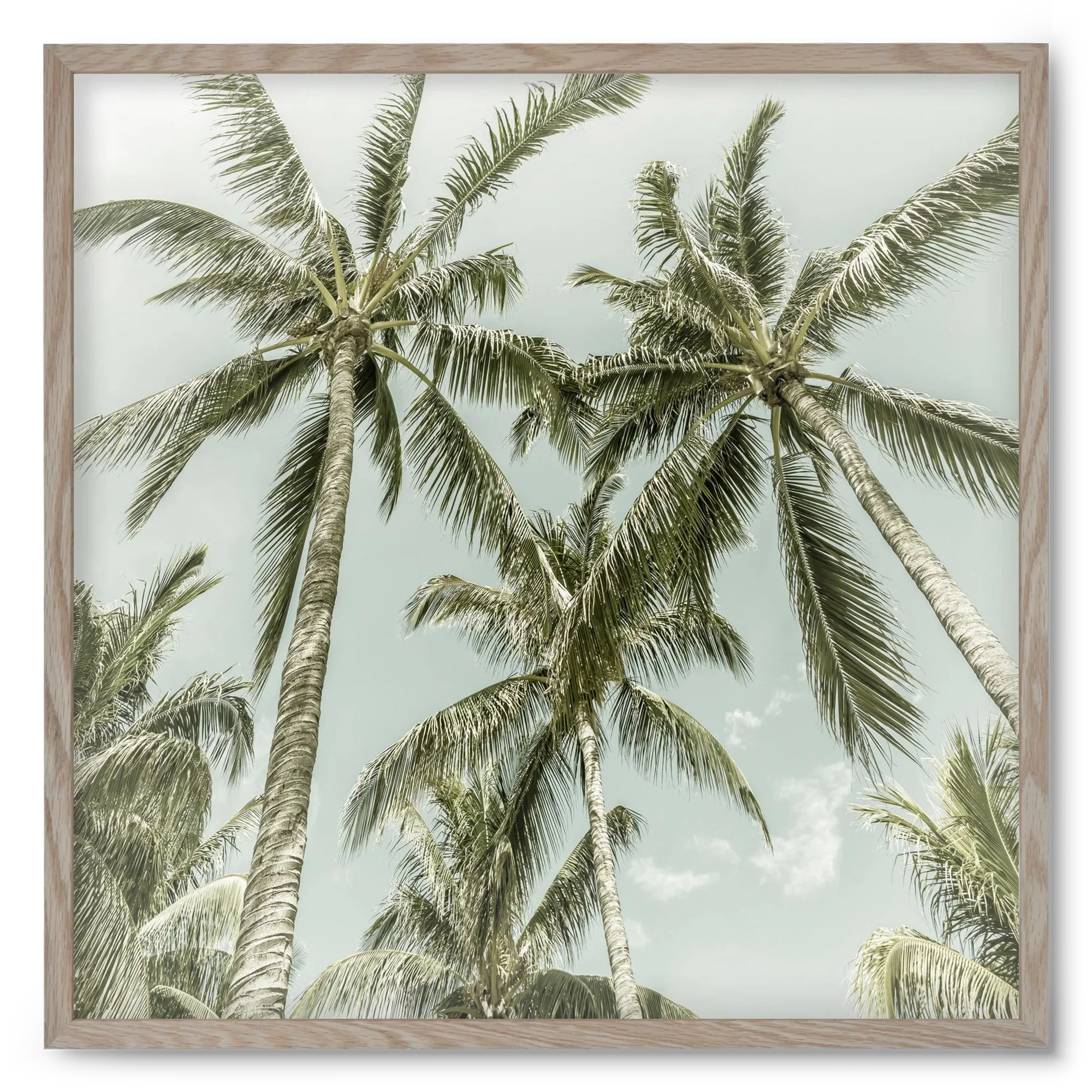 Lovely Palm Trees | Vintage - artbridge