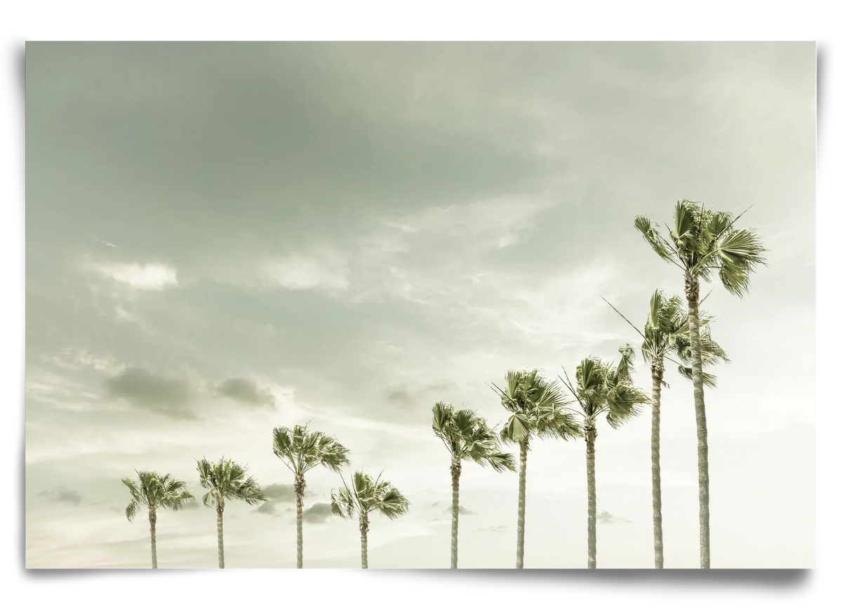 Vintage Palm Trees at the beach - artbridge