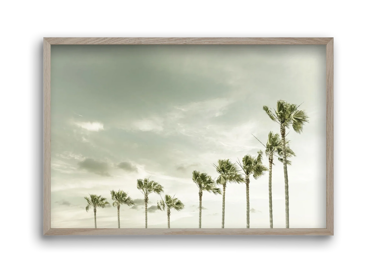 Vintage Palm Trees at the beach - artbridge