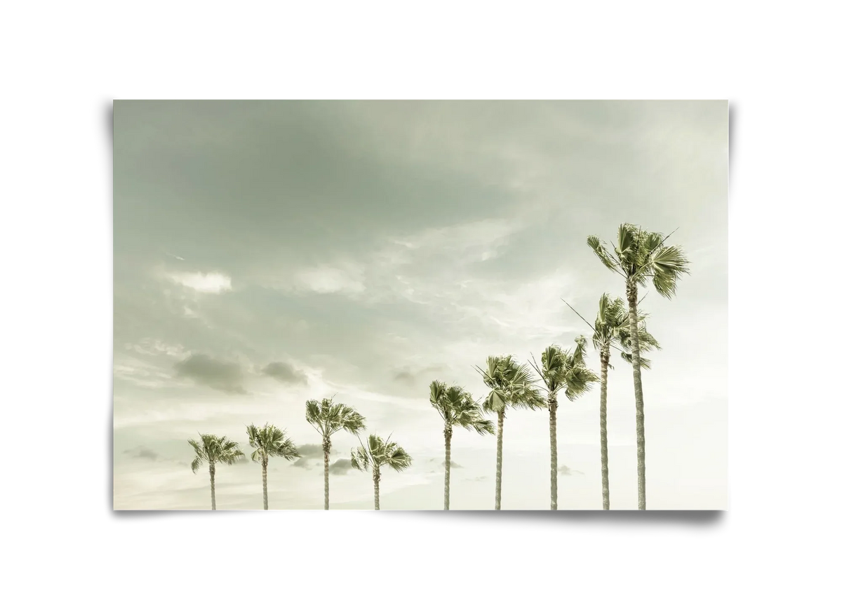 Vintage Palm Trees at the beach - artbridge