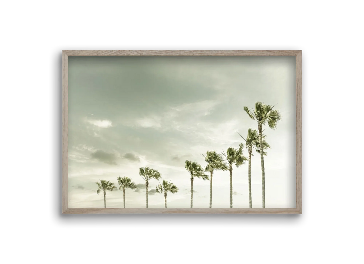 Vintage Palm Trees at the beach - artbridge
