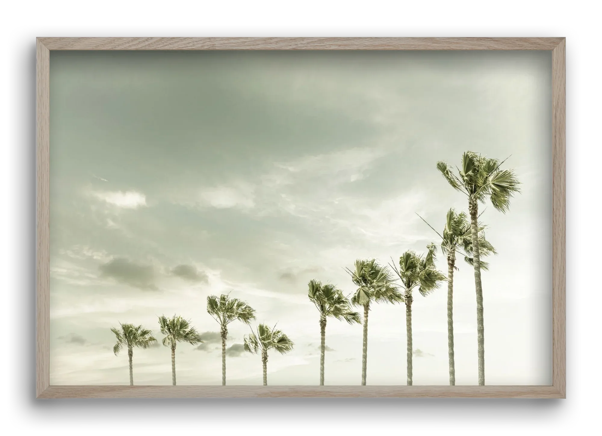 Vintage Palm Trees at the beach - artbridge