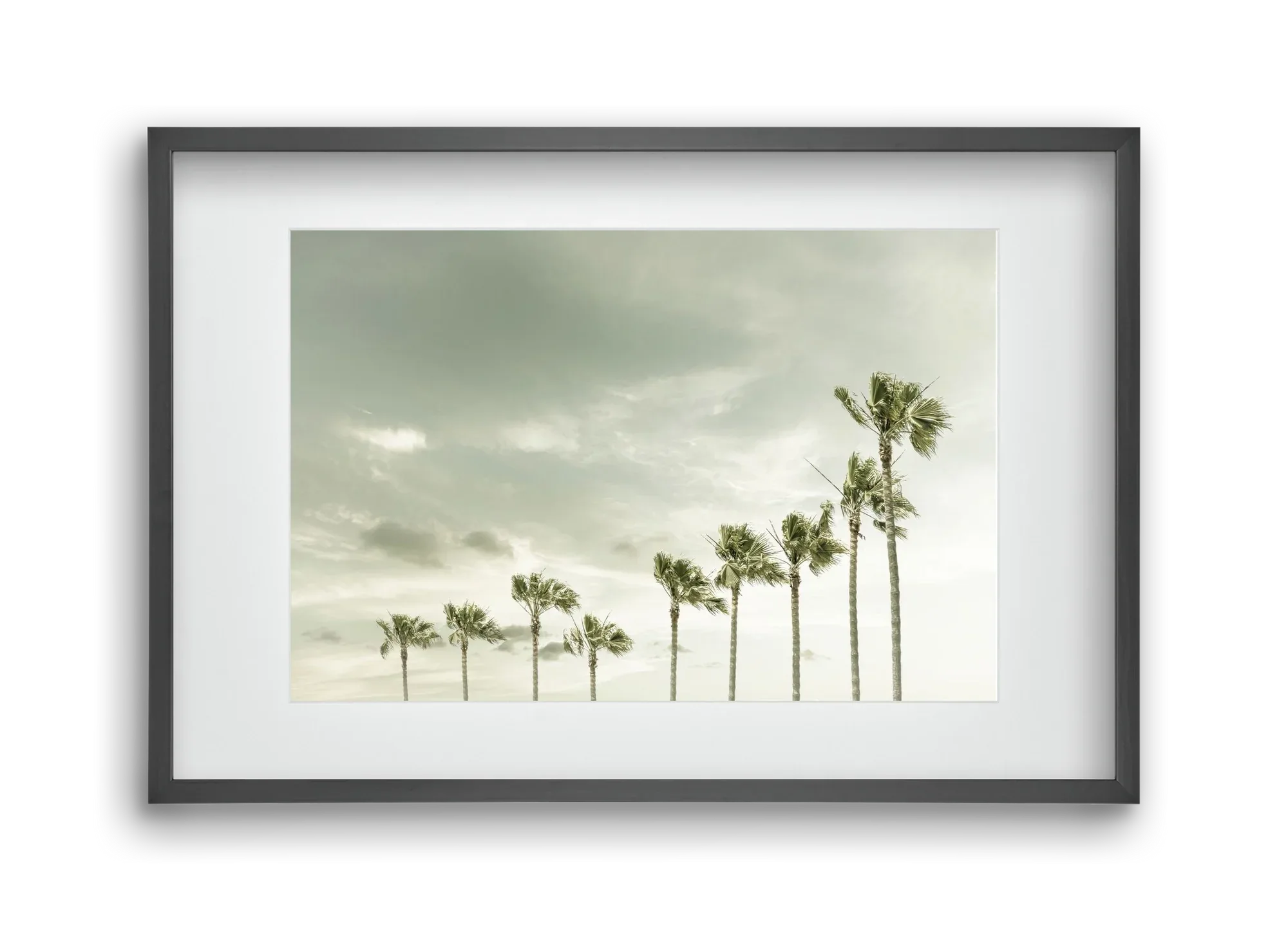 Vintage Palm Trees at the beach - artbridge