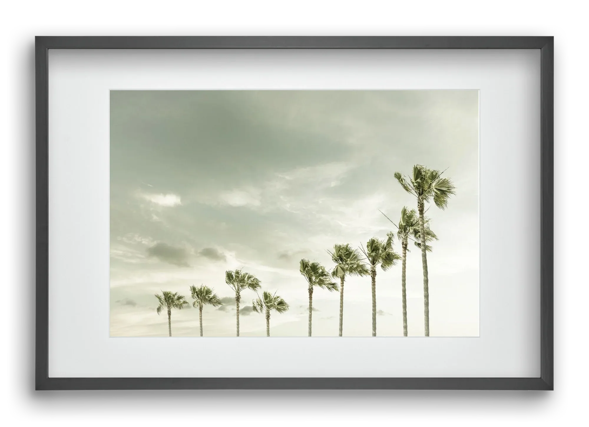 Vintage Palm Trees at the beach - artbridge