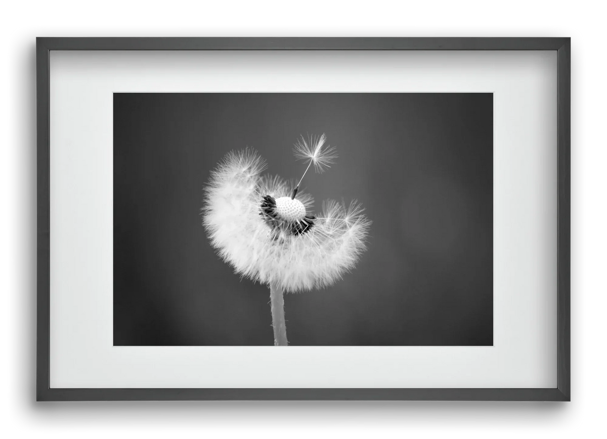 Loyalty - artbridge