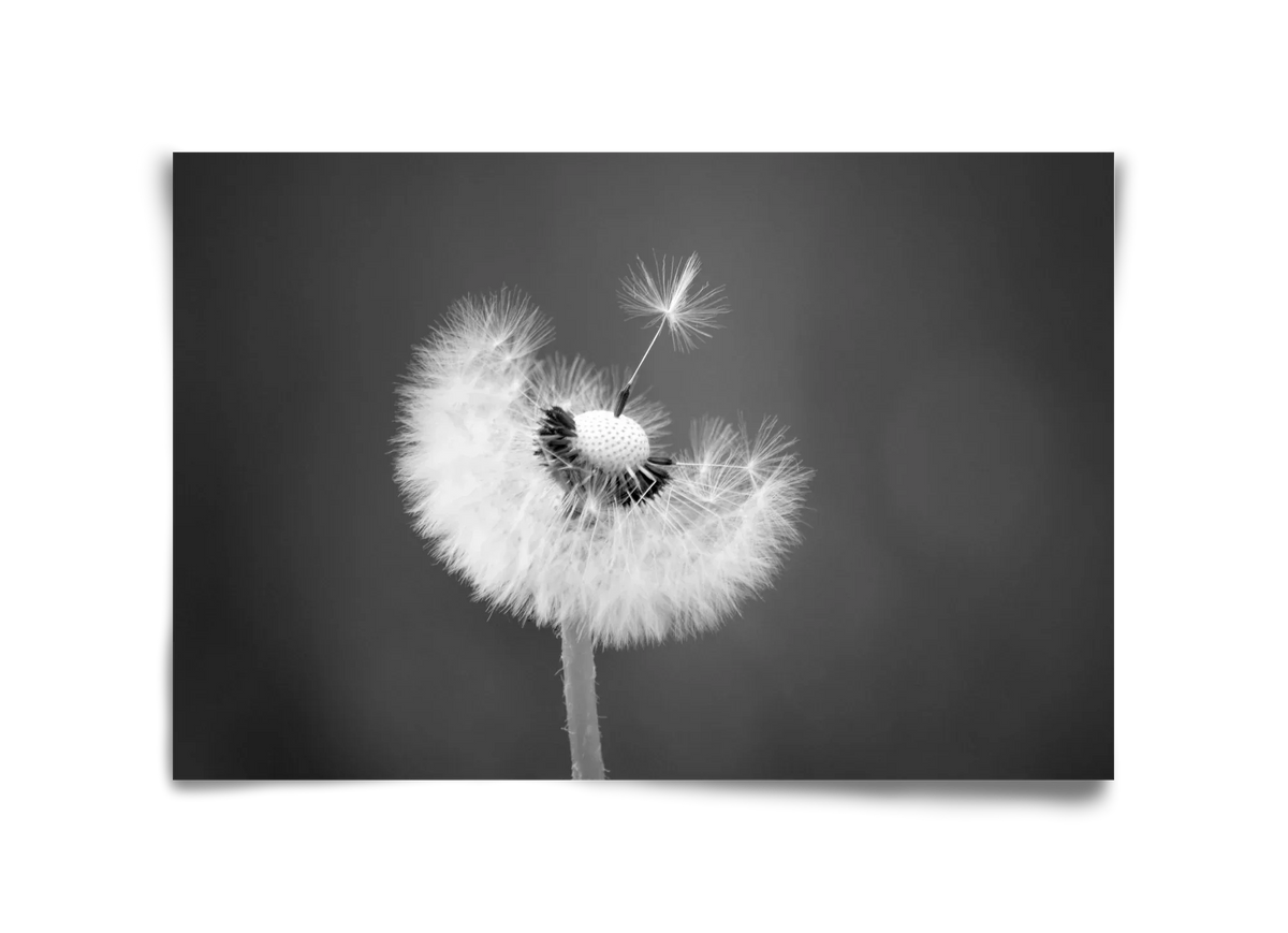 Loyalty - artbridge