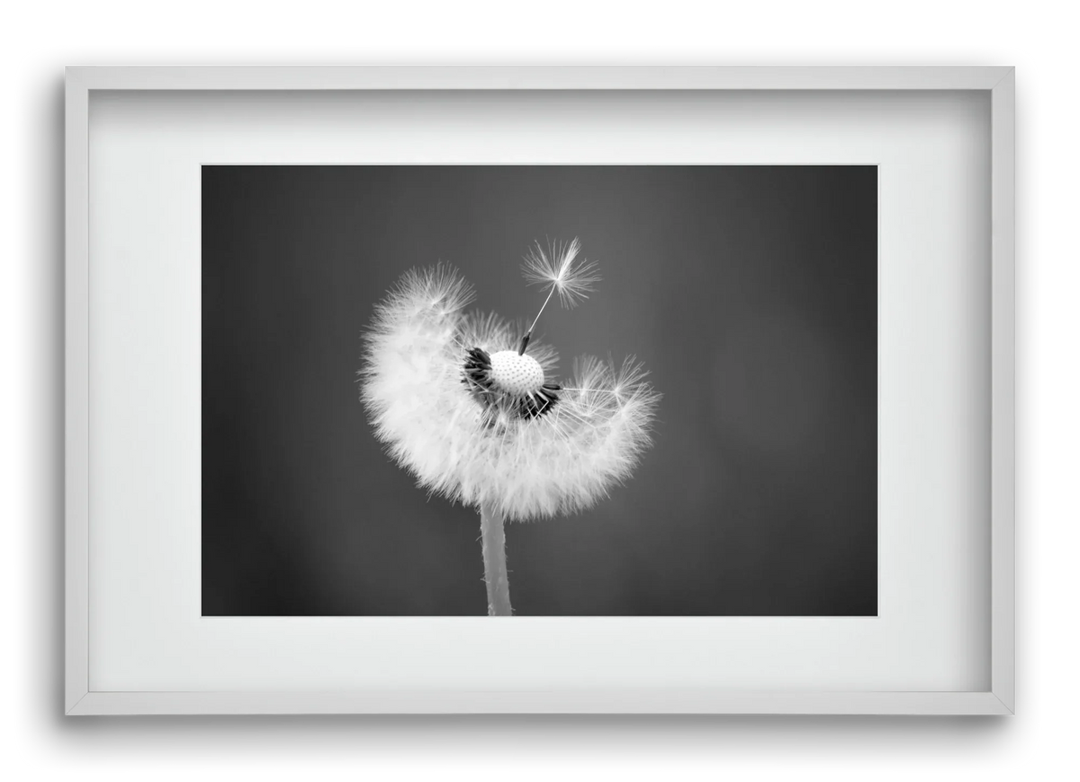 Loyalty - artbridge