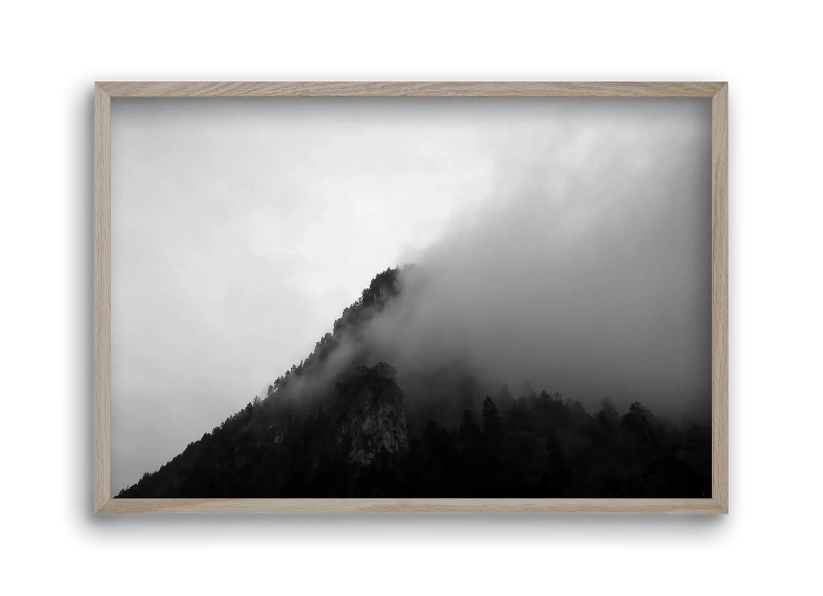 Alps - artbridge