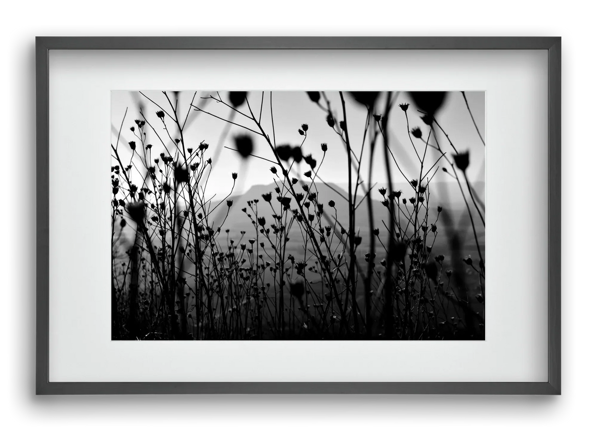 Csobanc - artbridge