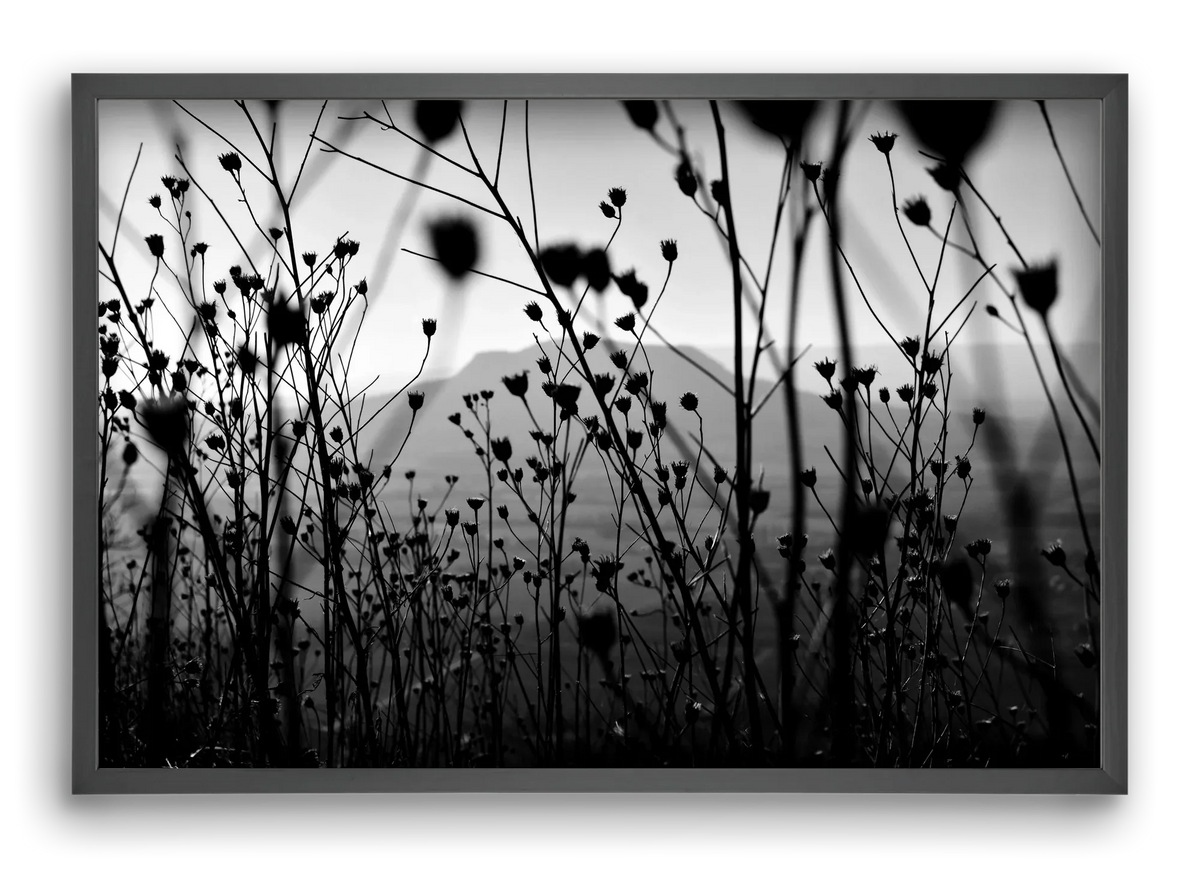 Csobanc - artbridge