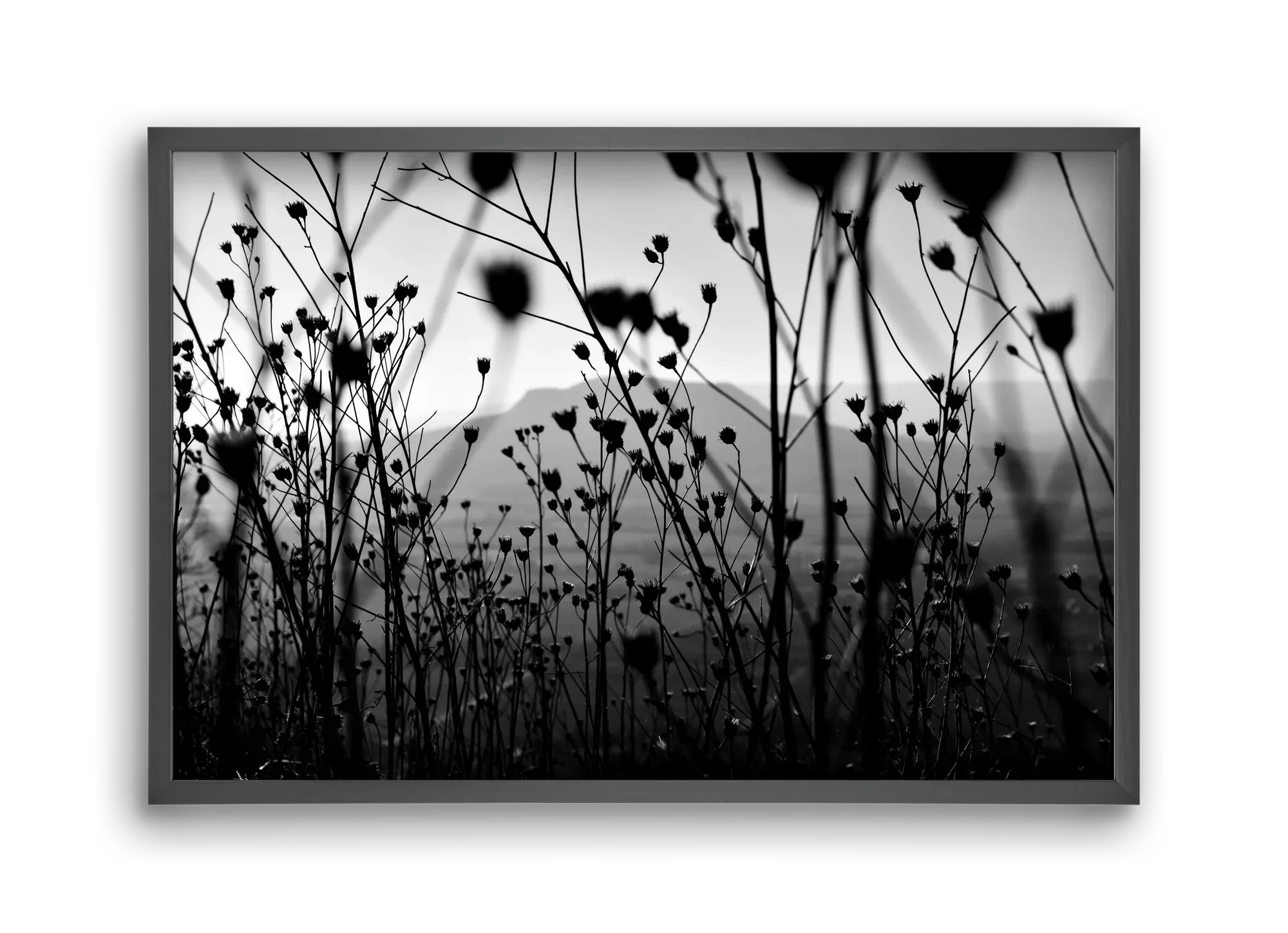 Csobanc - artbridge