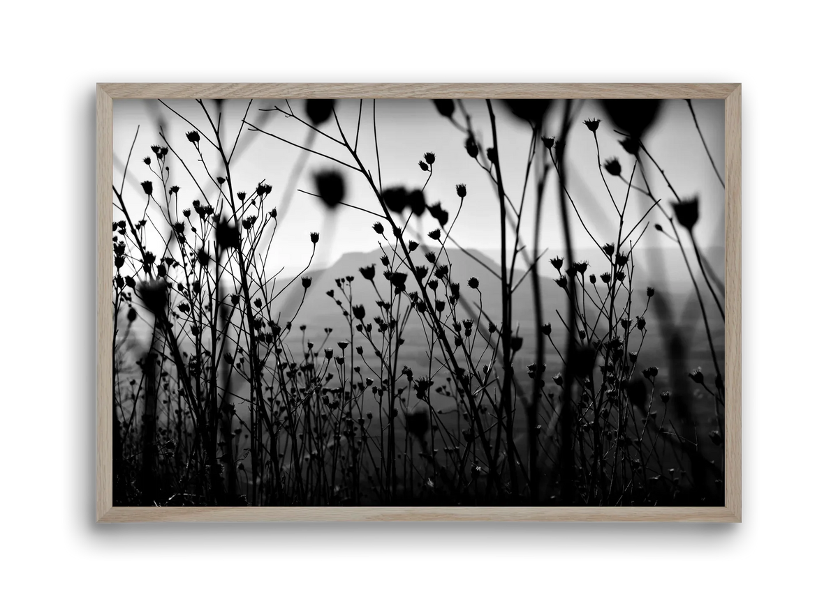 Csobanc - artbridge