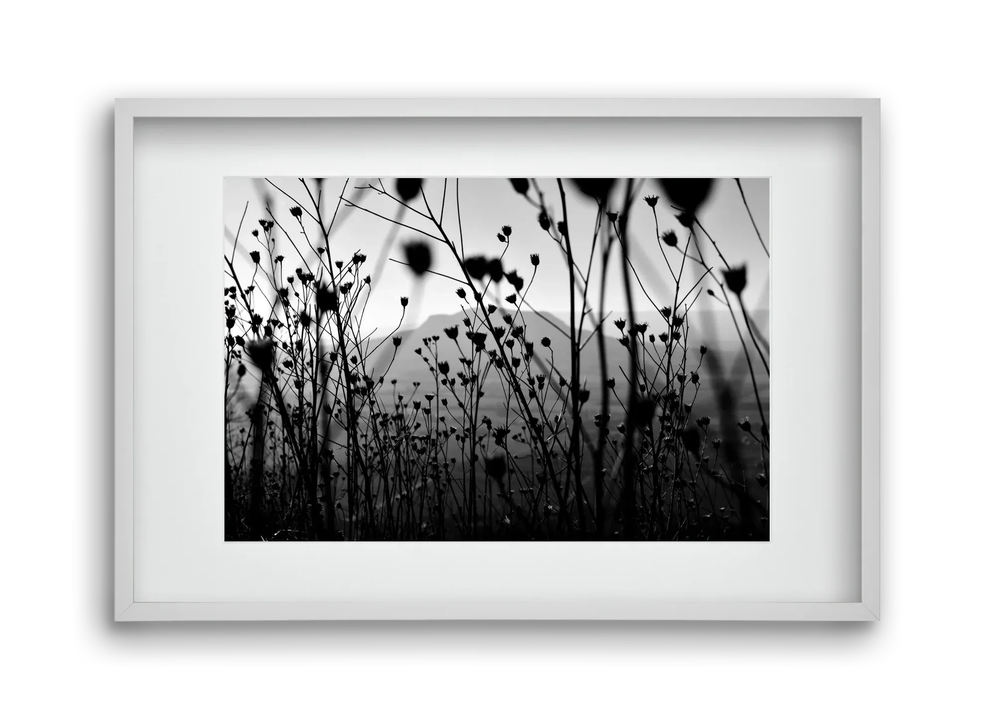 Csobanc - artbridge