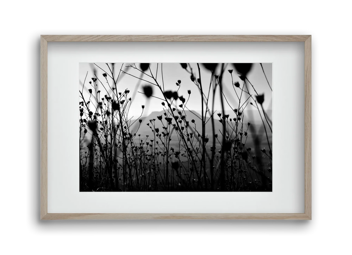 Csobanc - artbridge