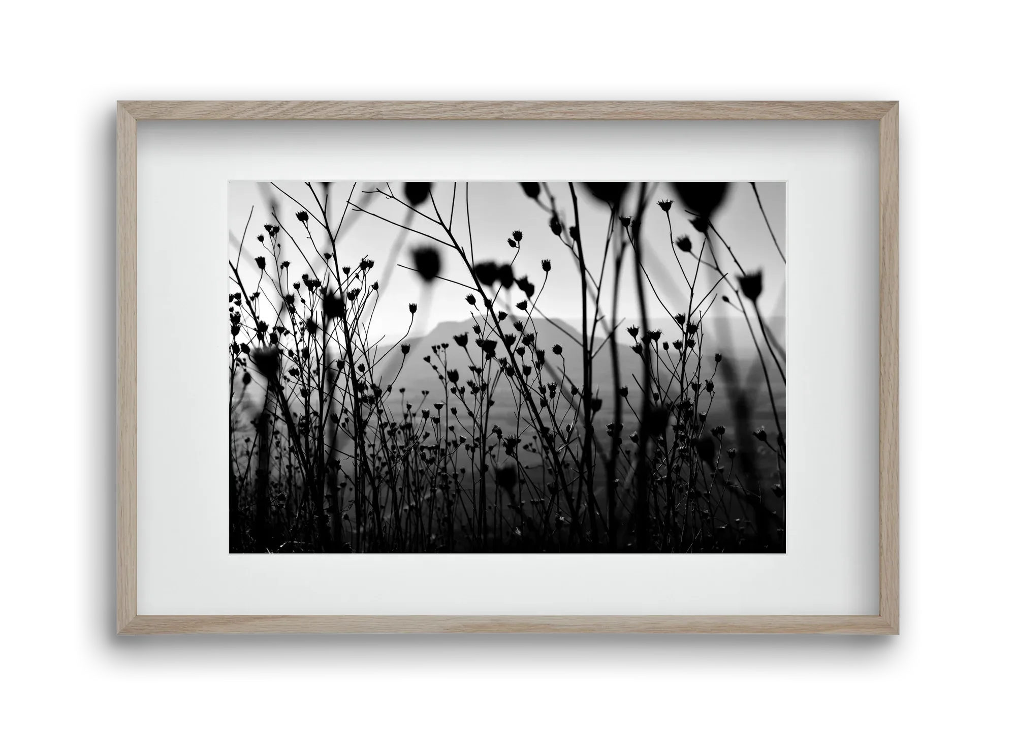 Csobanc - artbridge