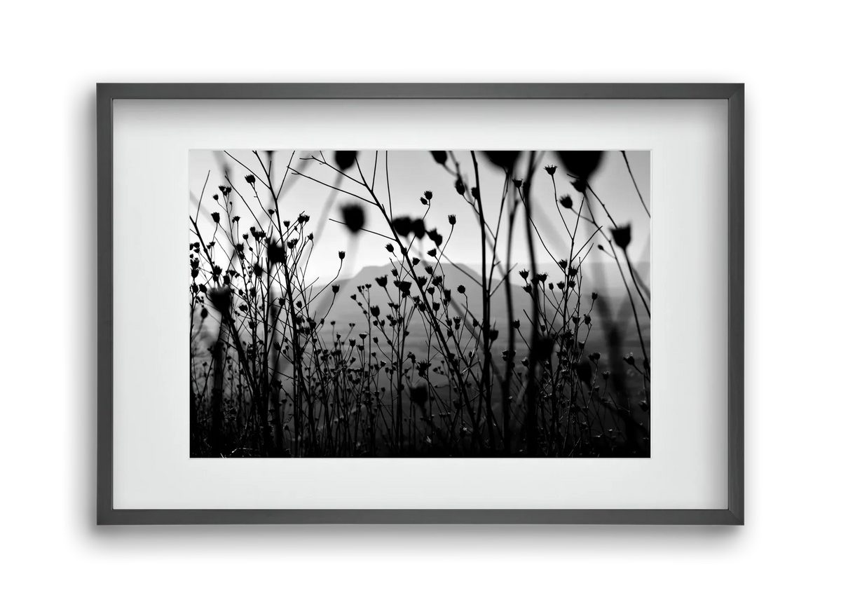 Csobanc - artbridge