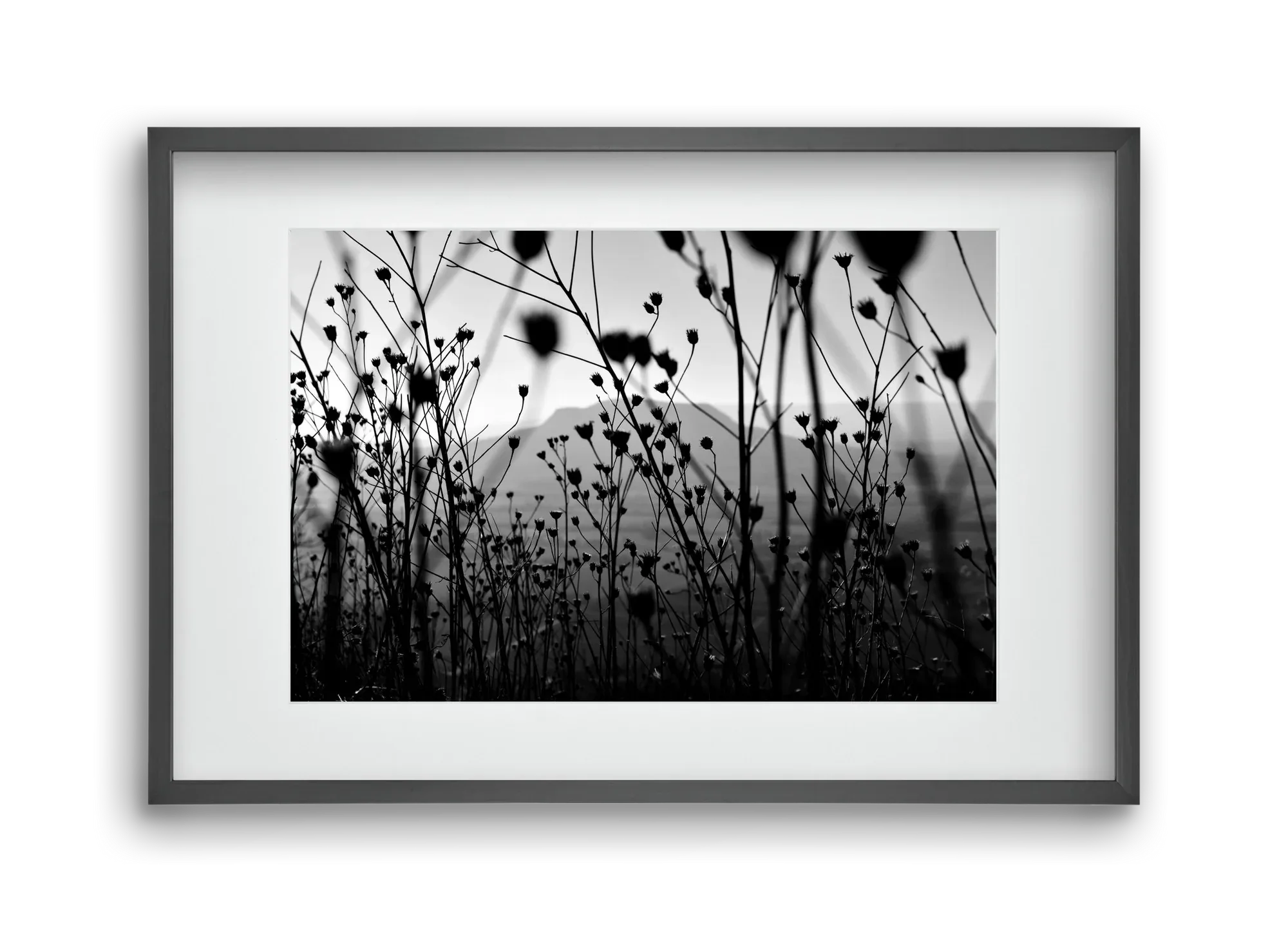 Csobanc - artbridge