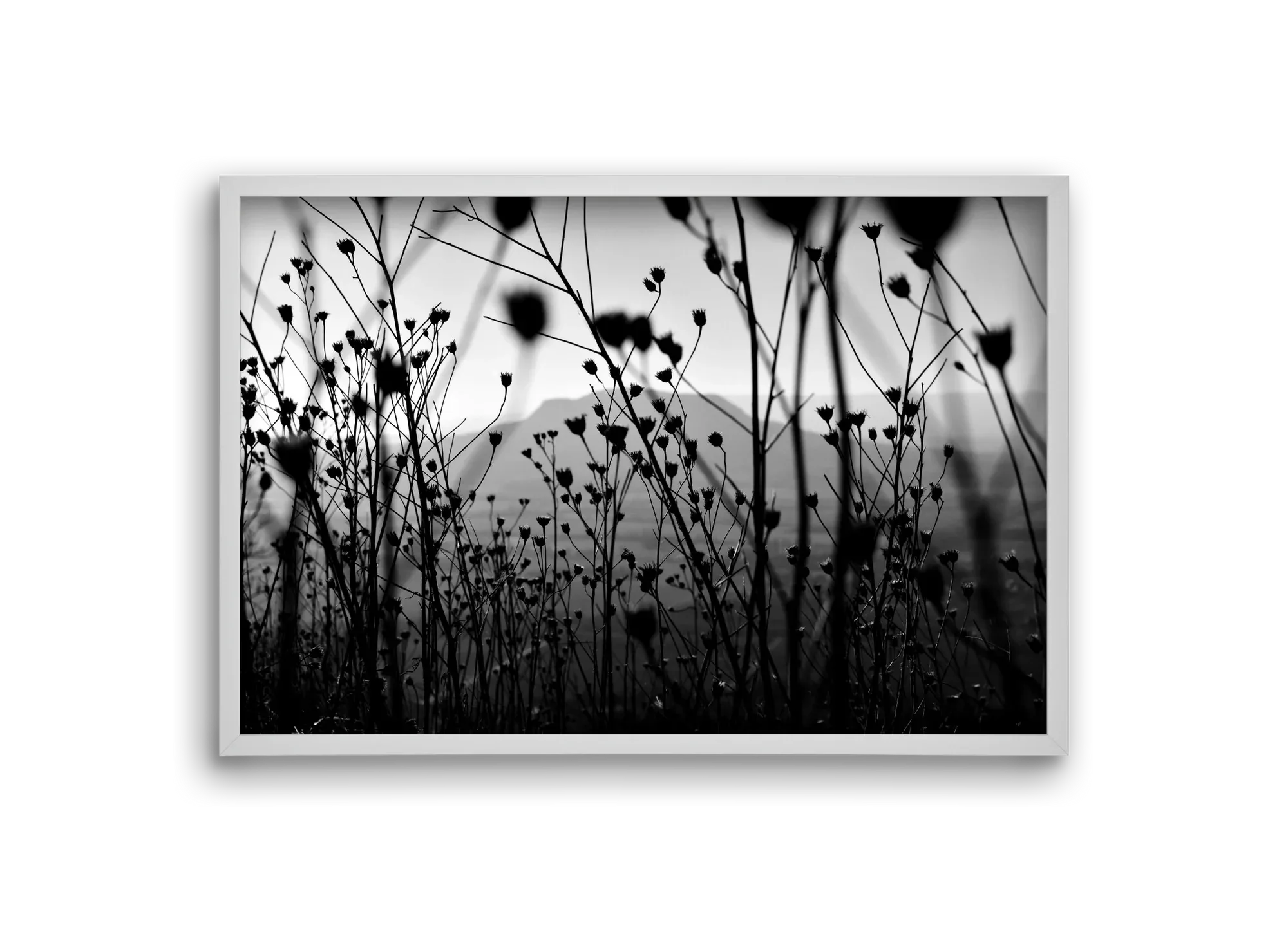 Csobanc - artbridge