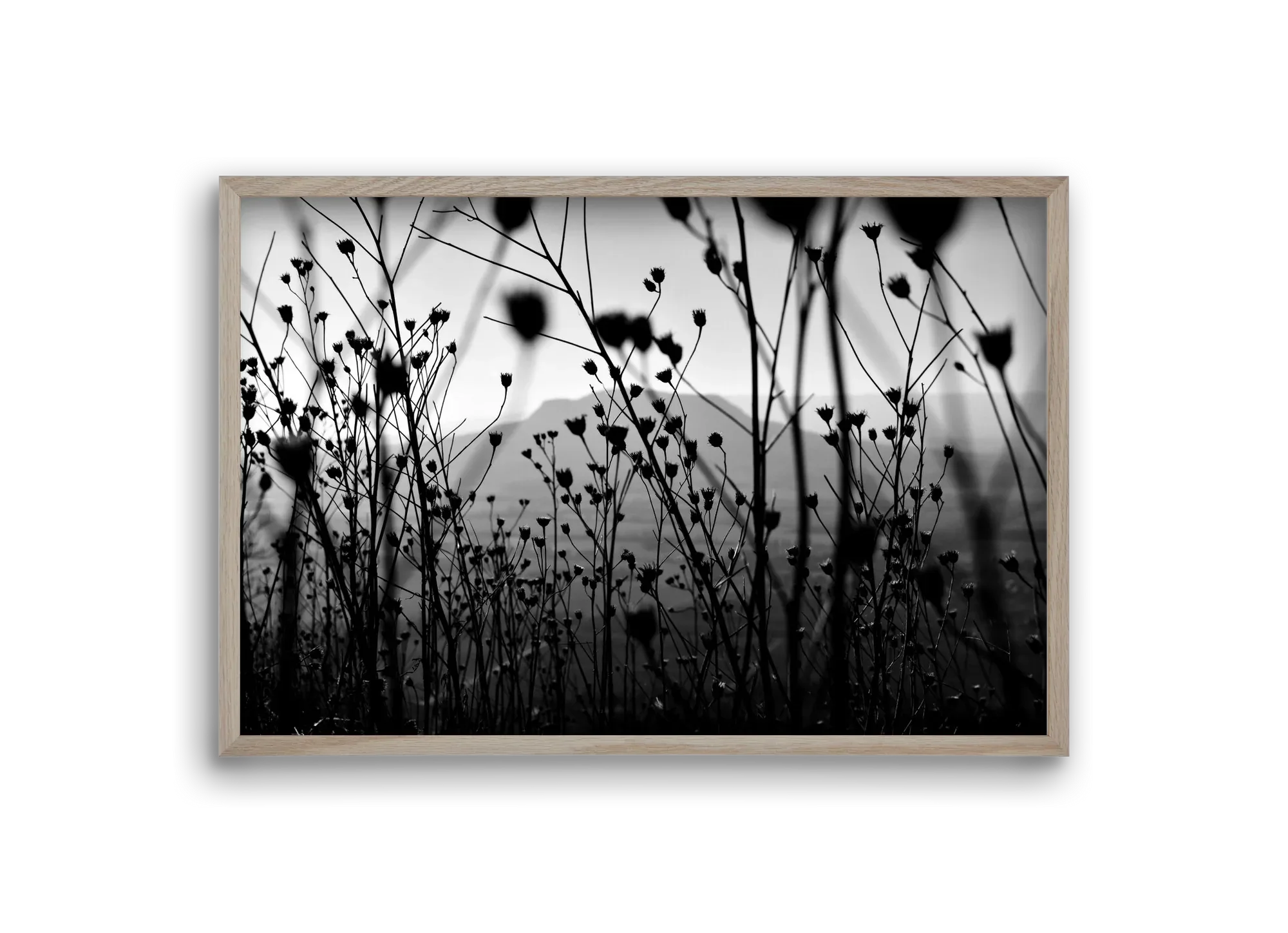 Csobanc - artbridge