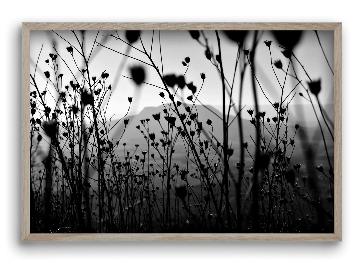 Csobanc - artbridge