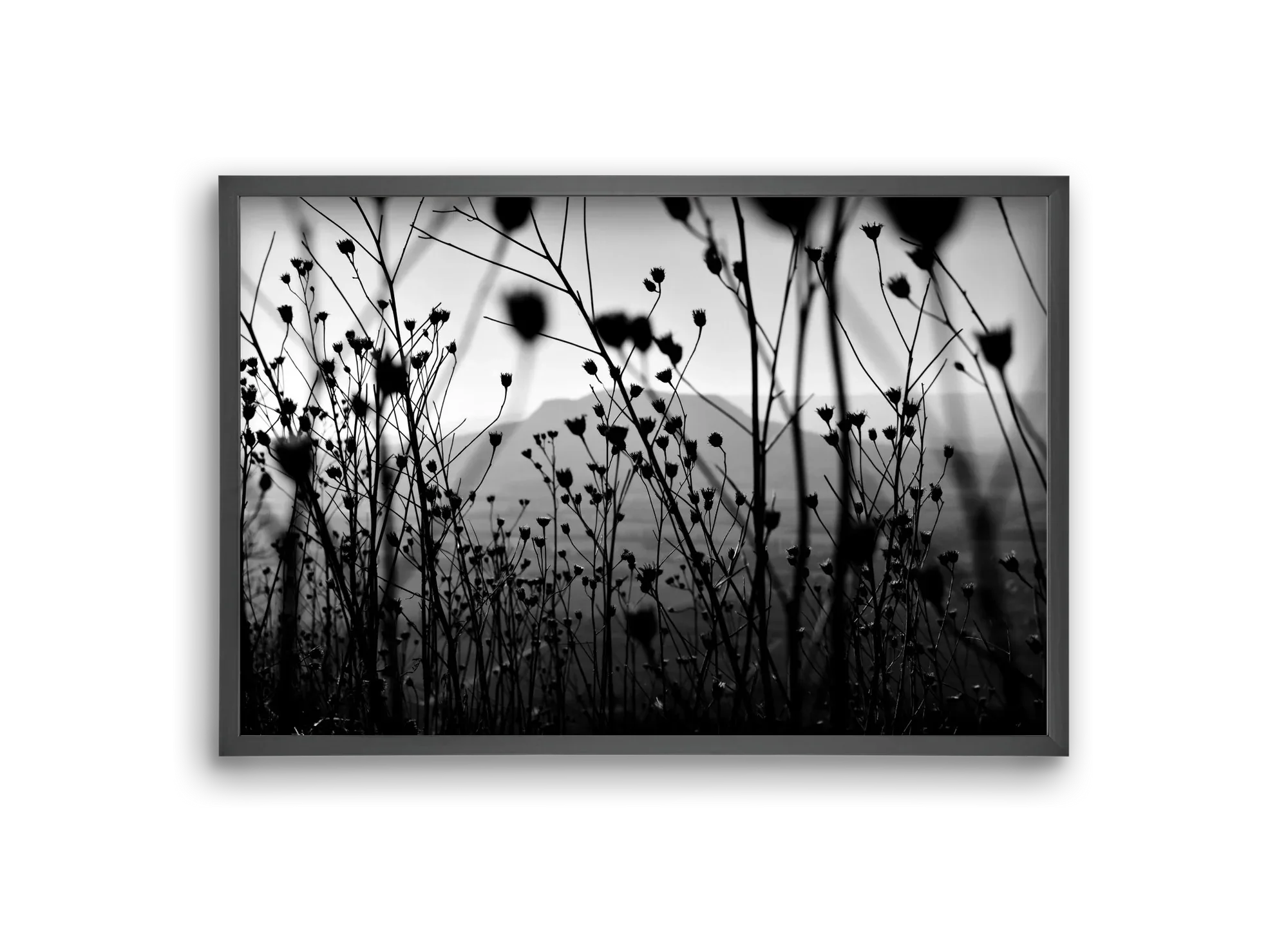 Csobanc - artbridge