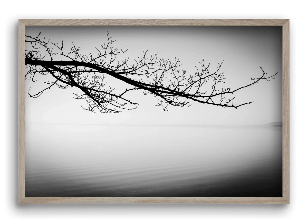 Sajkod - artbridge