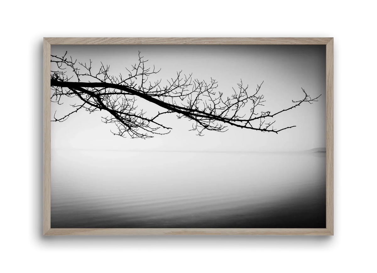 Sajkod - artbridge