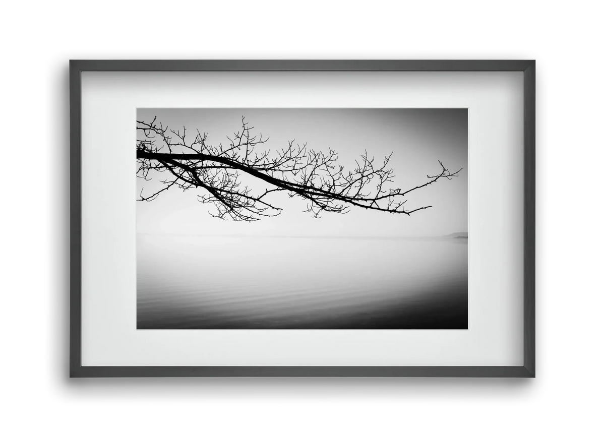 Sajkod - artbridge