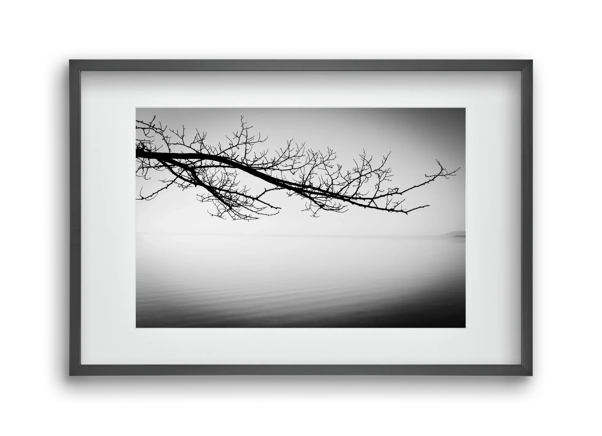 Sajkod - artbridge