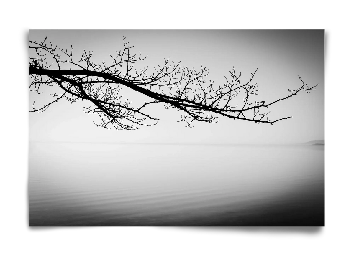 Sajkod - artbridge
