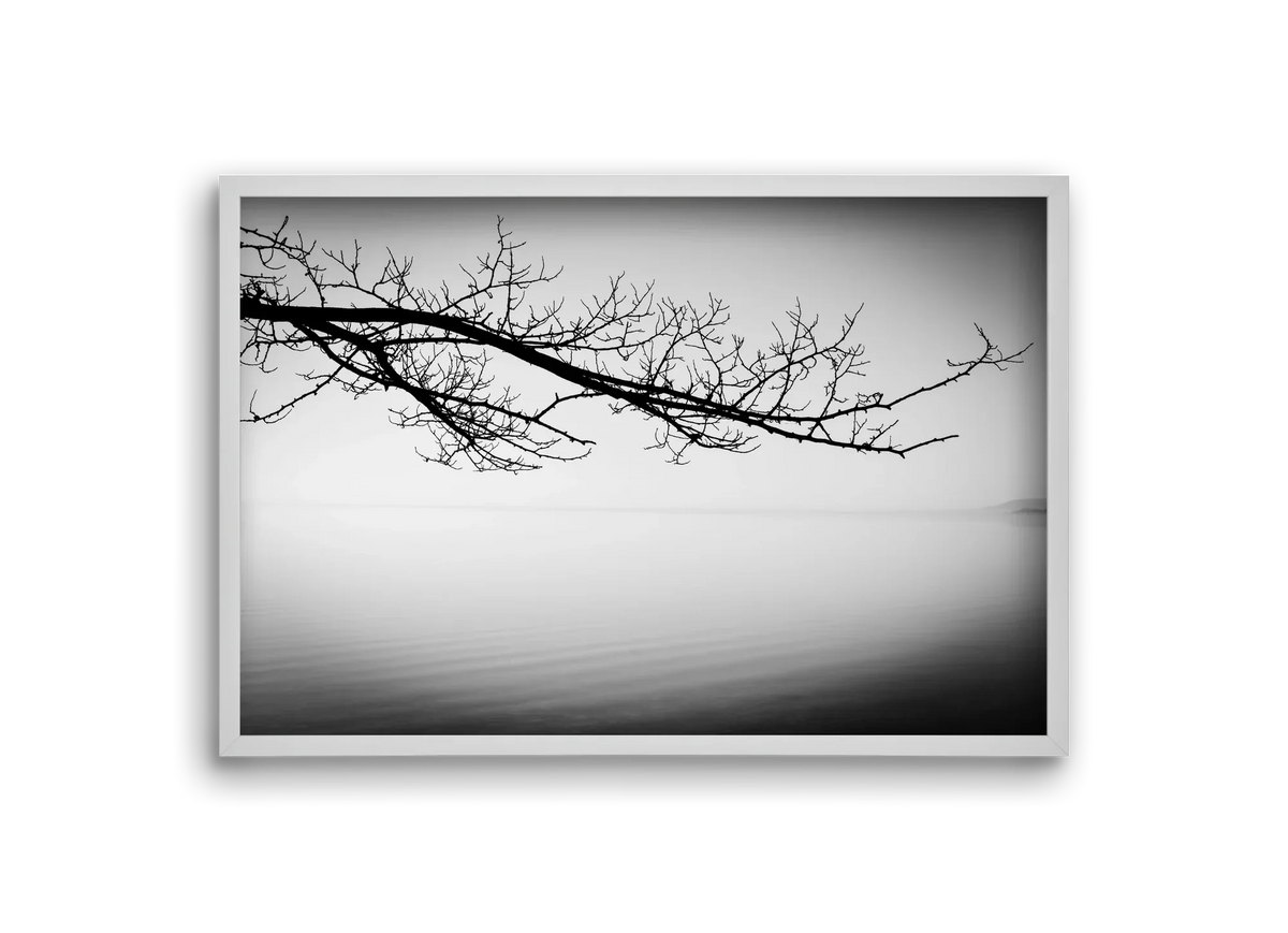 Sajkod - artbridge