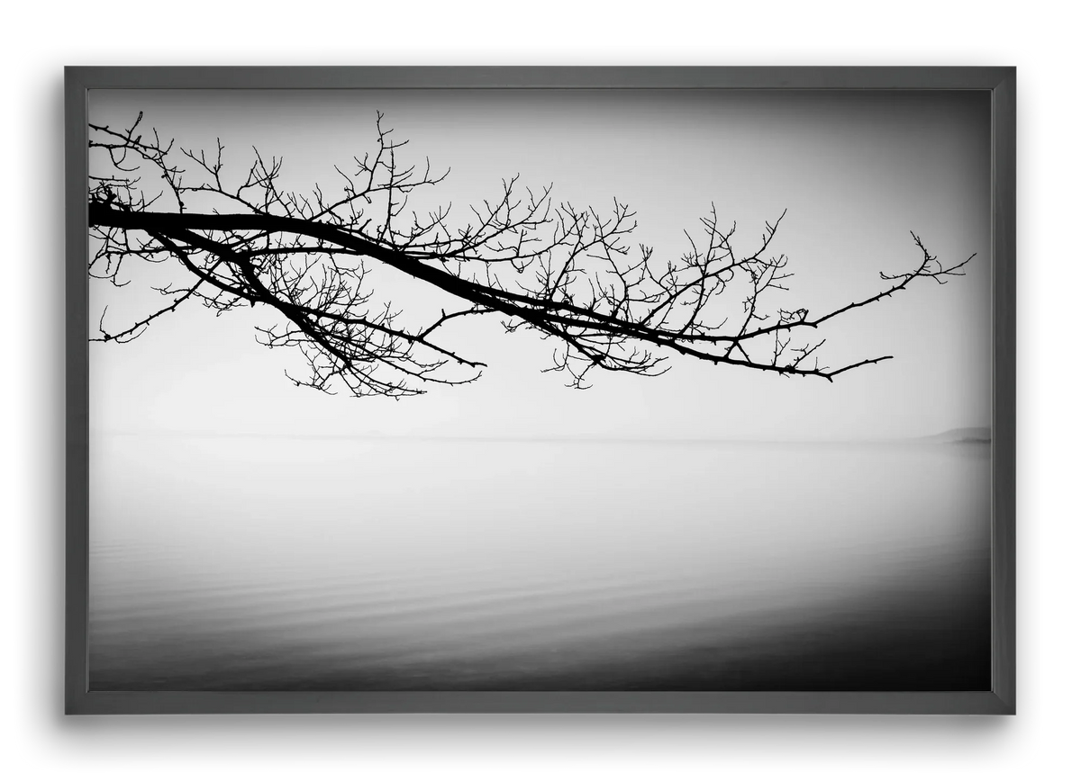 Sajkod - artbridge