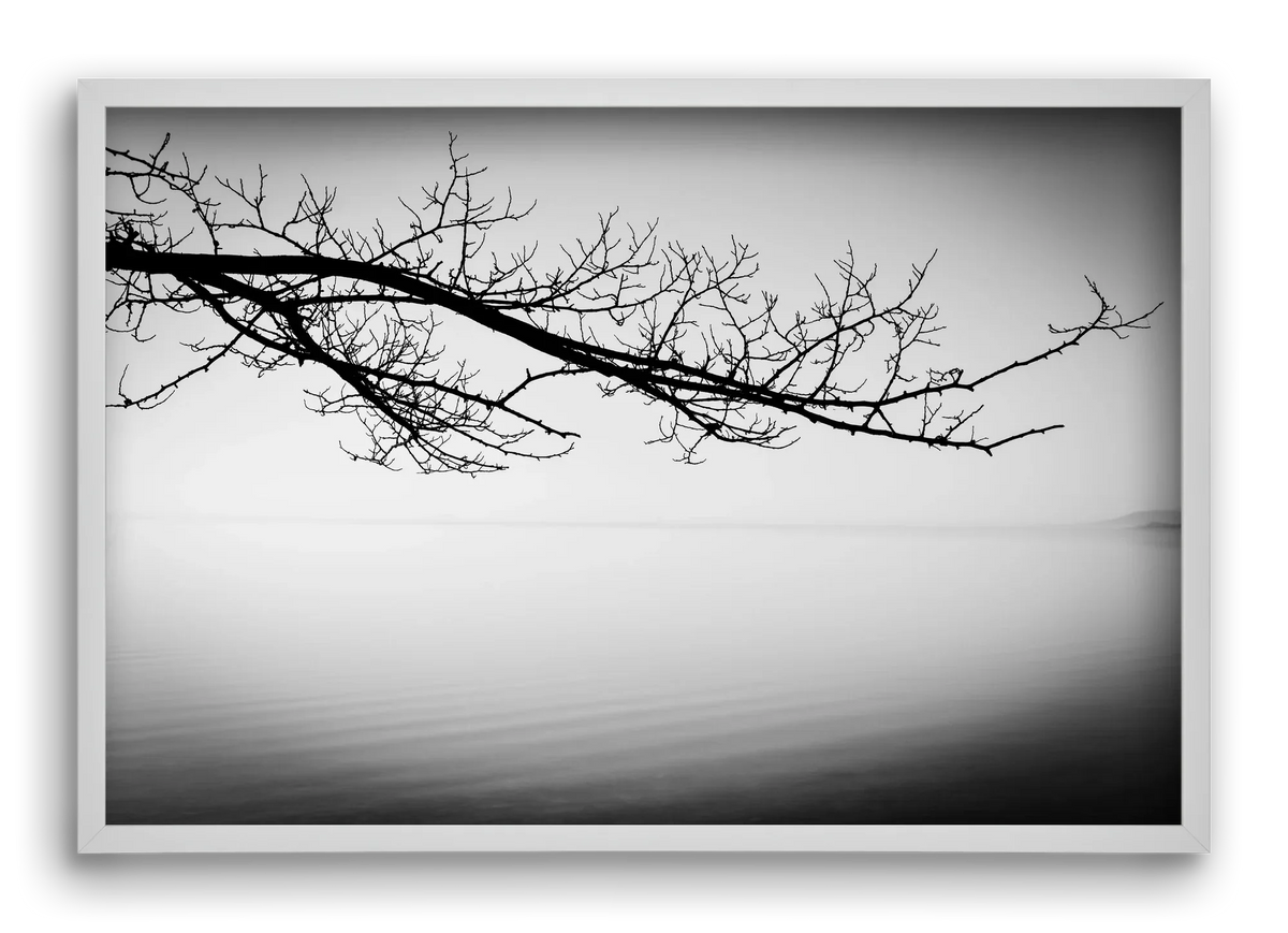 Sajkod - artbridge