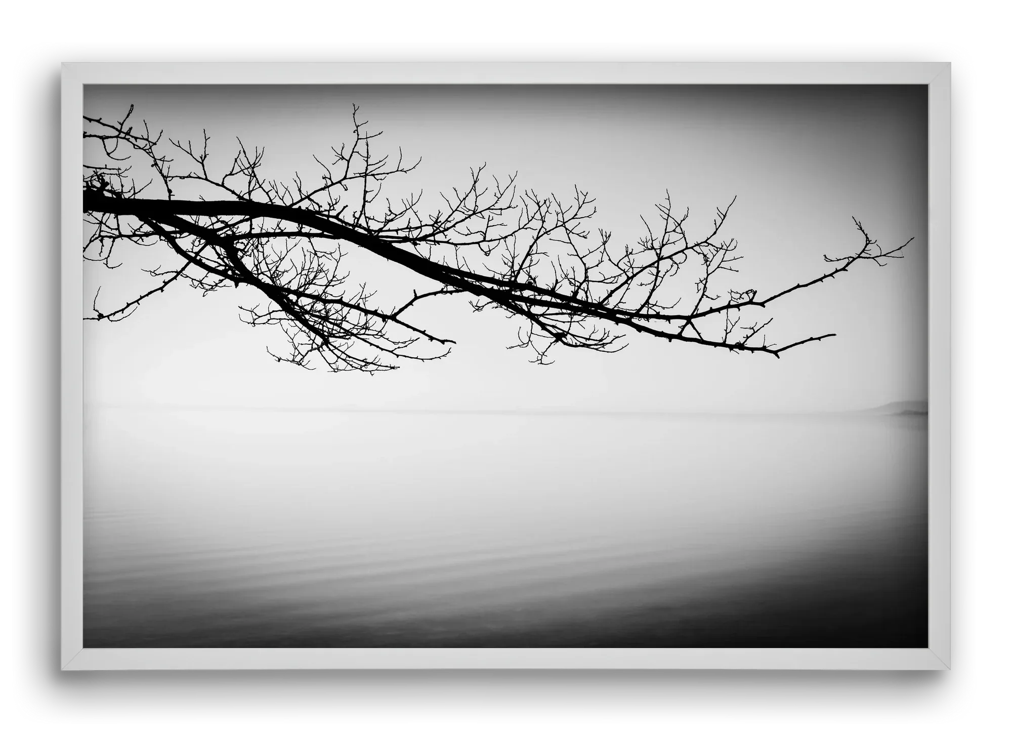 Sajkod - artbridge