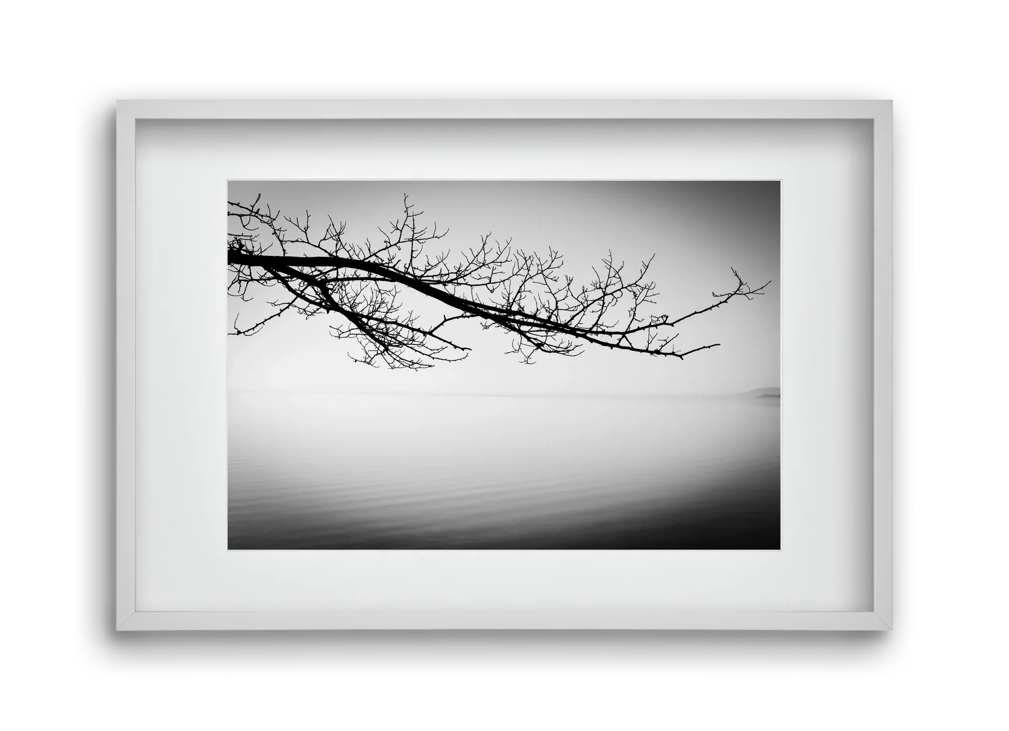 Sajkod - artbridge