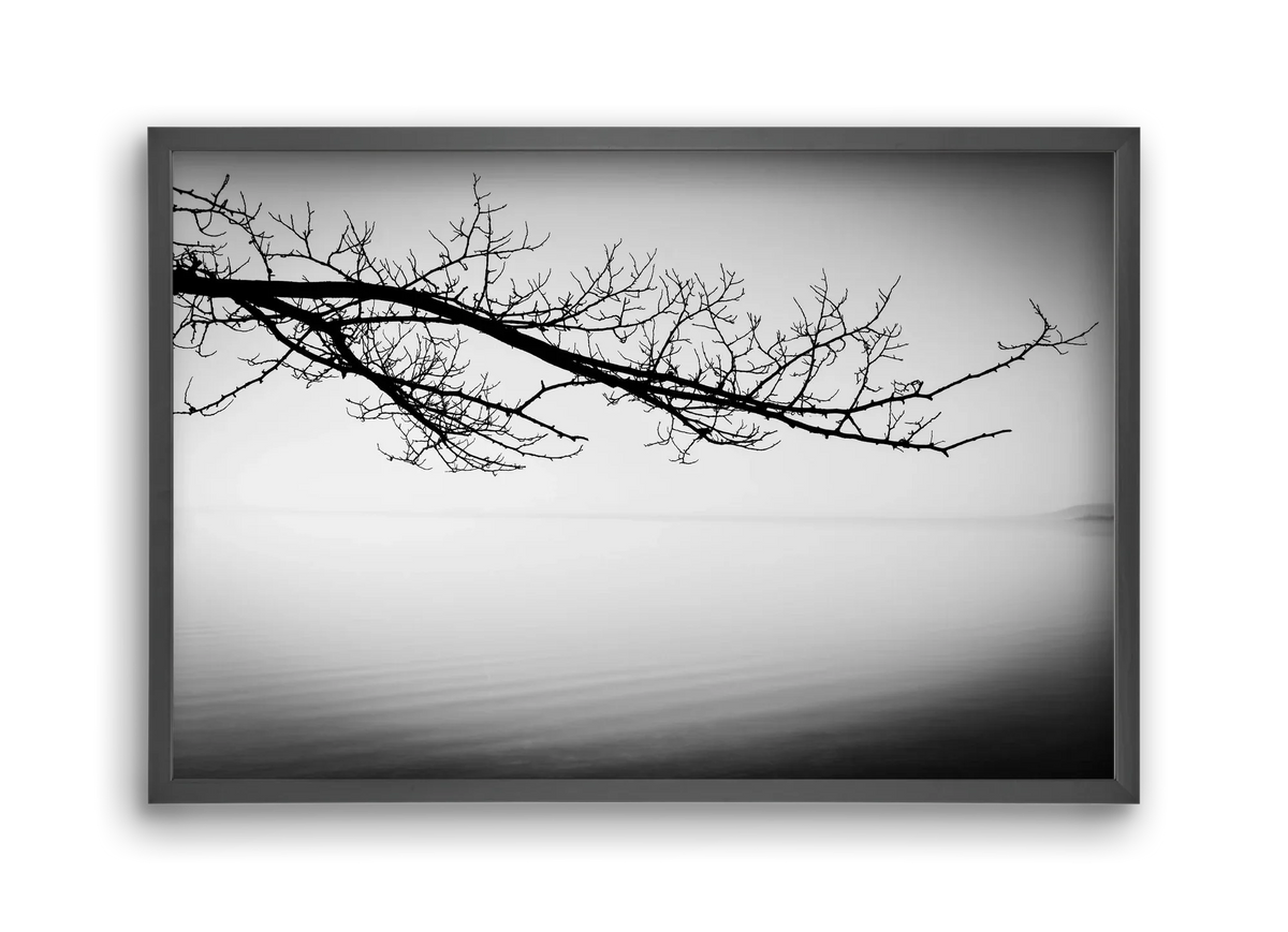 Sajkod - artbridge