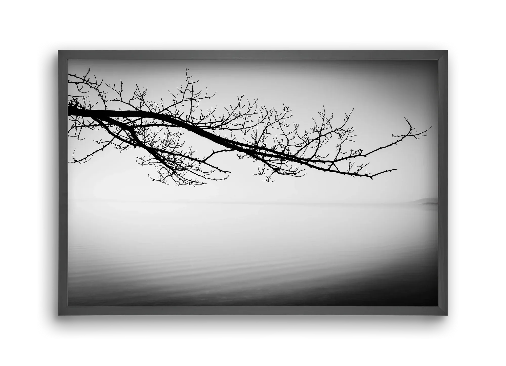 Sajkod - artbridge