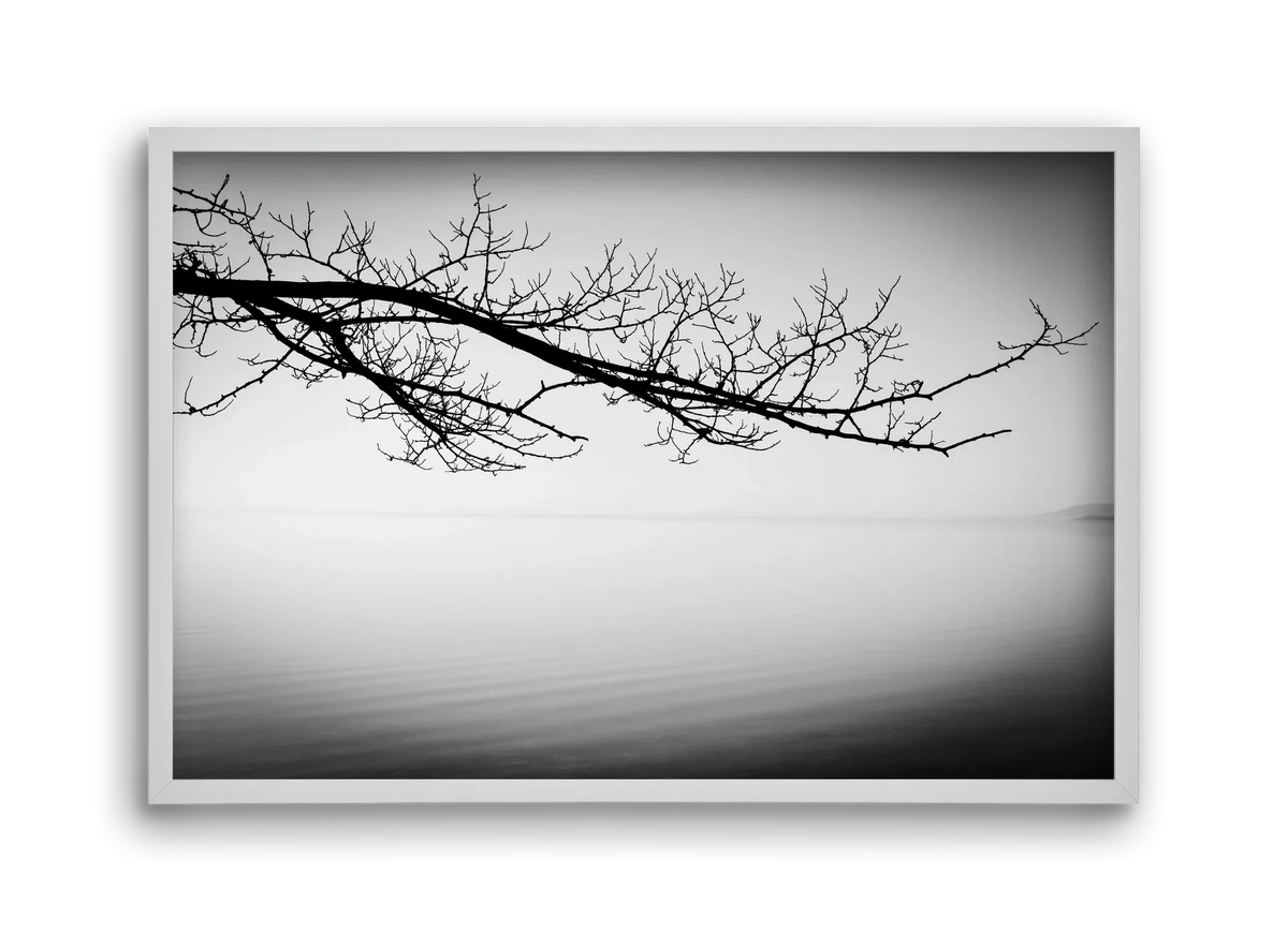 Sajkod - artbridge